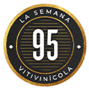 95 La Semana Vitivinícola