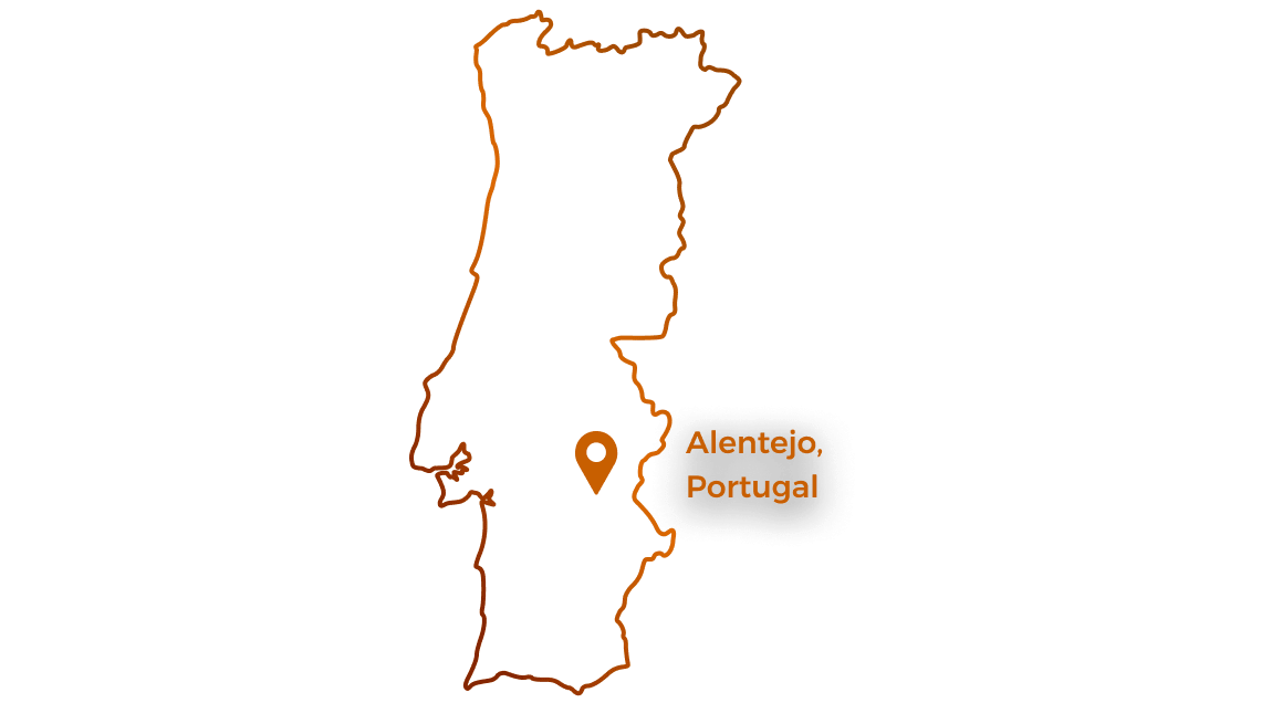 Mapa da região