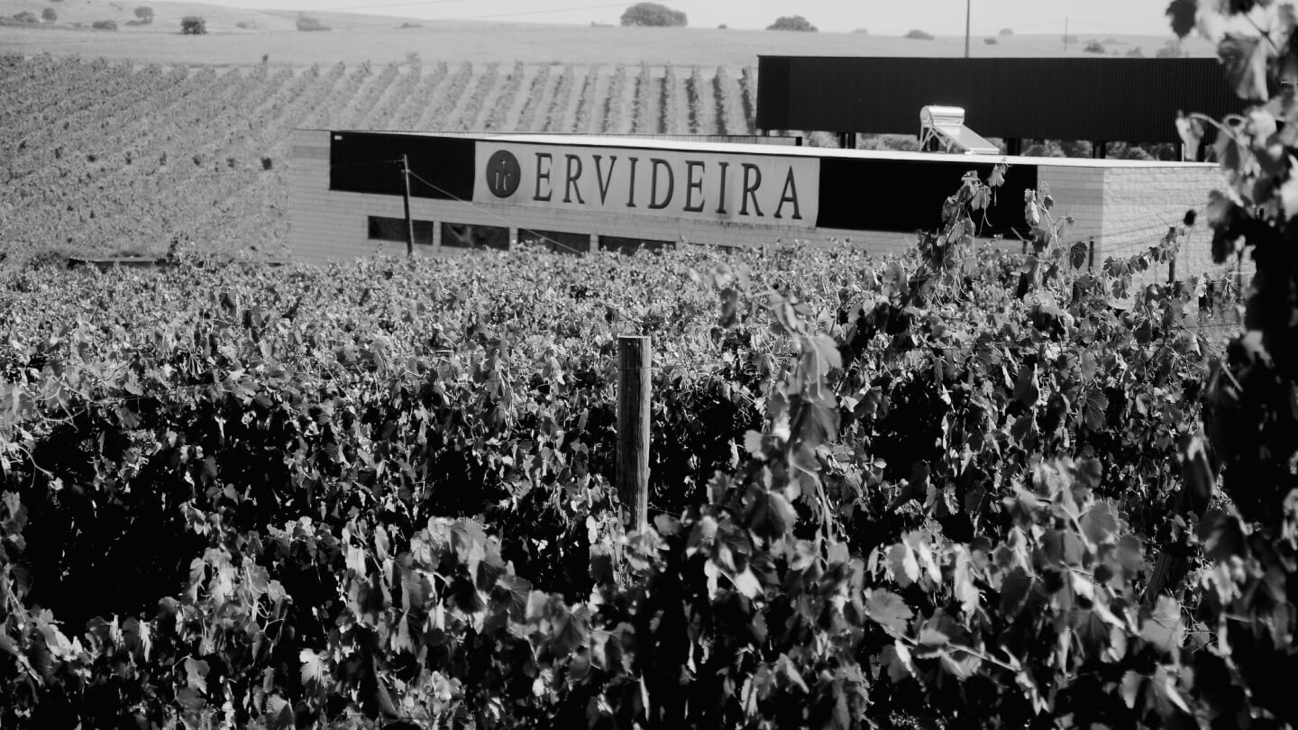 Vinícola Ervideira
