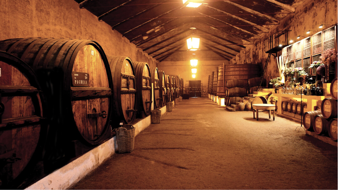 Vinícola Quinta da Pacheca