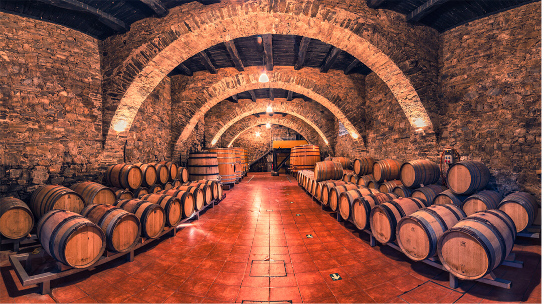 Vinícola Raúl Pérez Bodegas y Viñedos