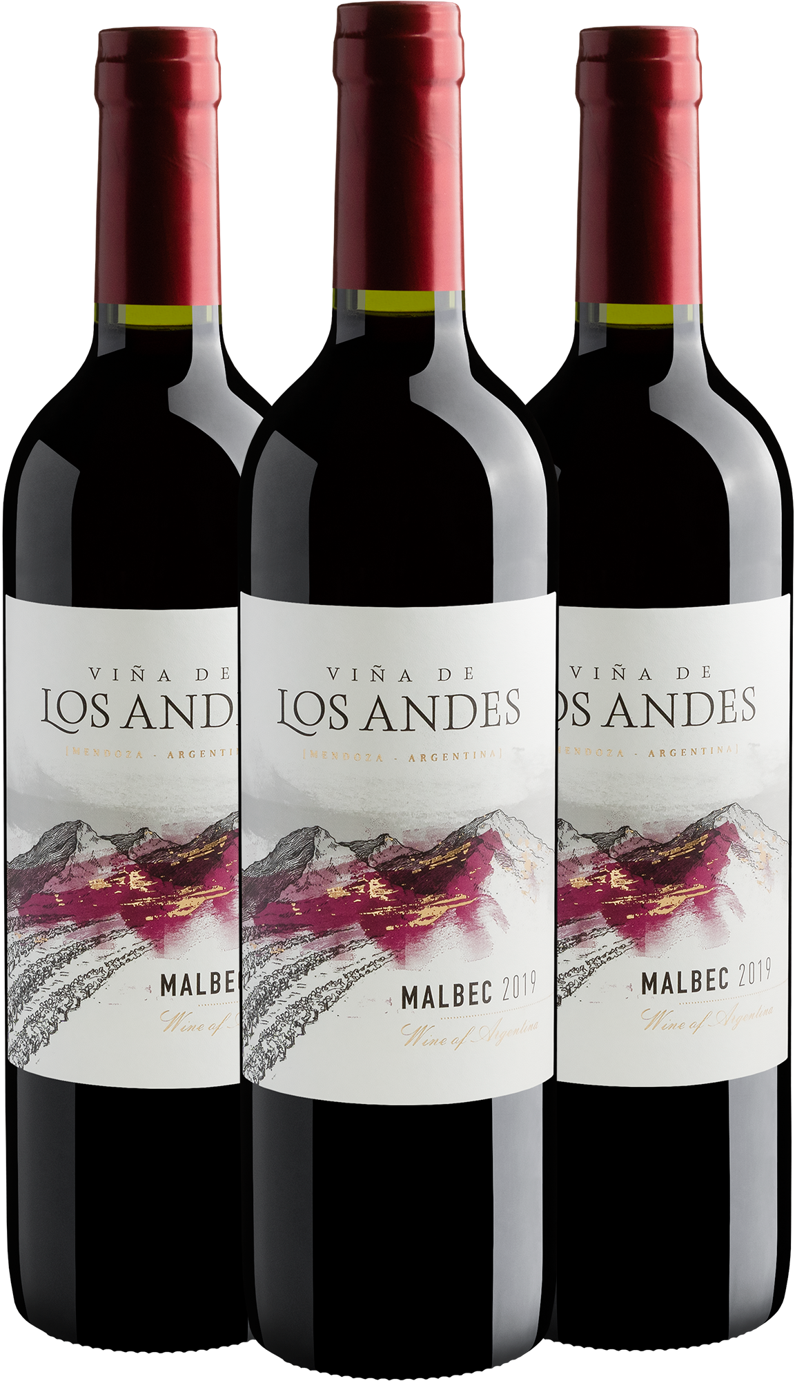 Trio Viña De Los Andes Malbec