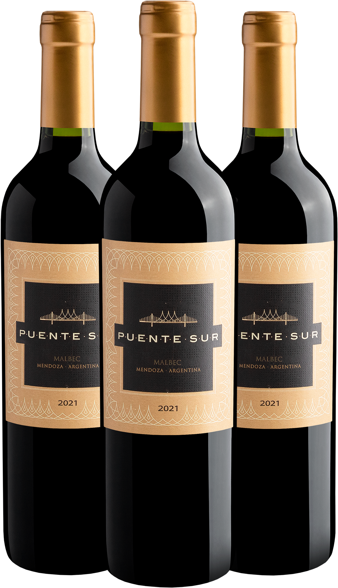 Kit 3 Puente Sur Malbec 2021 | R$34,90 por garrafa
