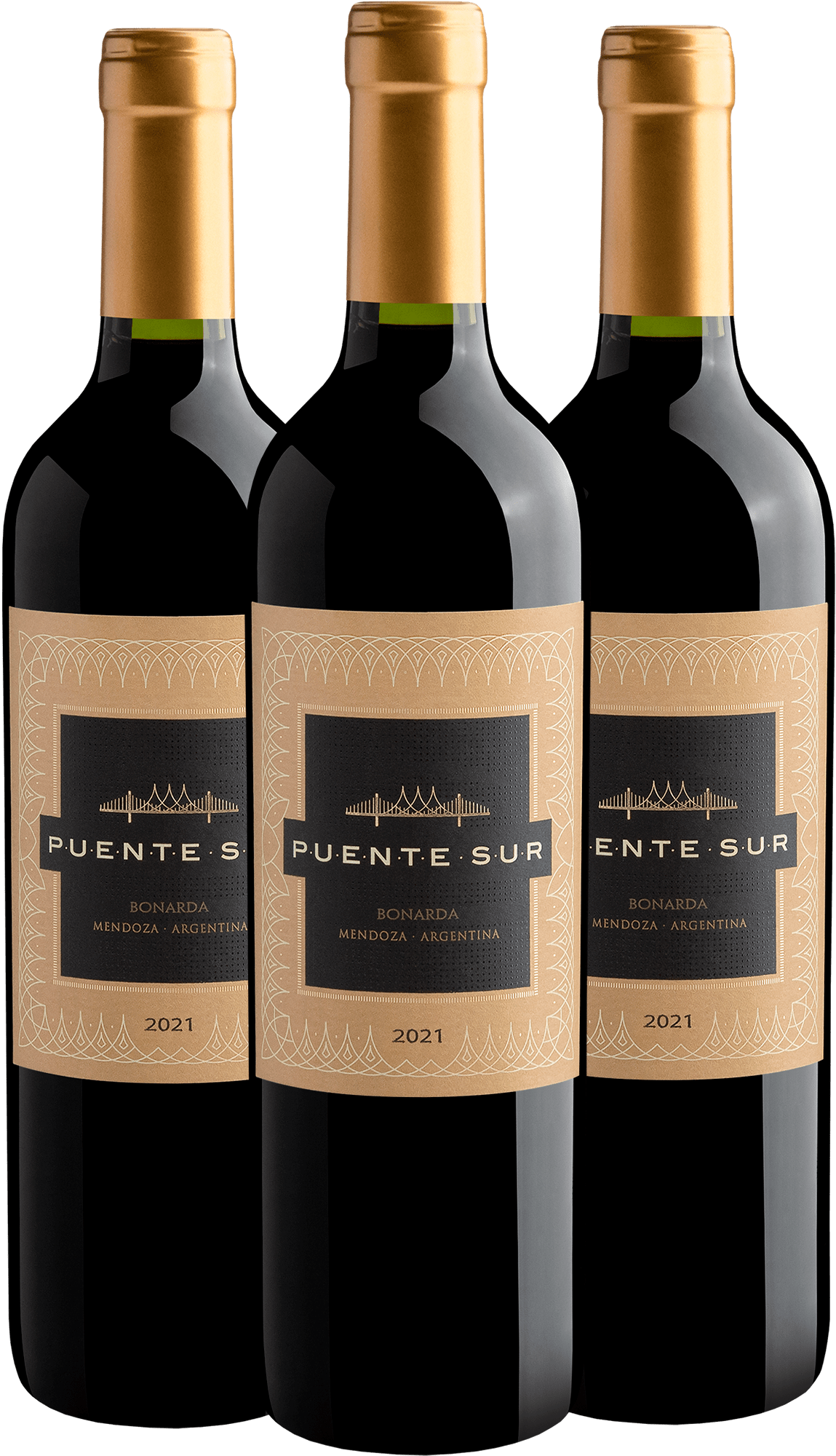 Kit 3 Puente Sur Bonarda 2021 | R$29,90 por garrafa