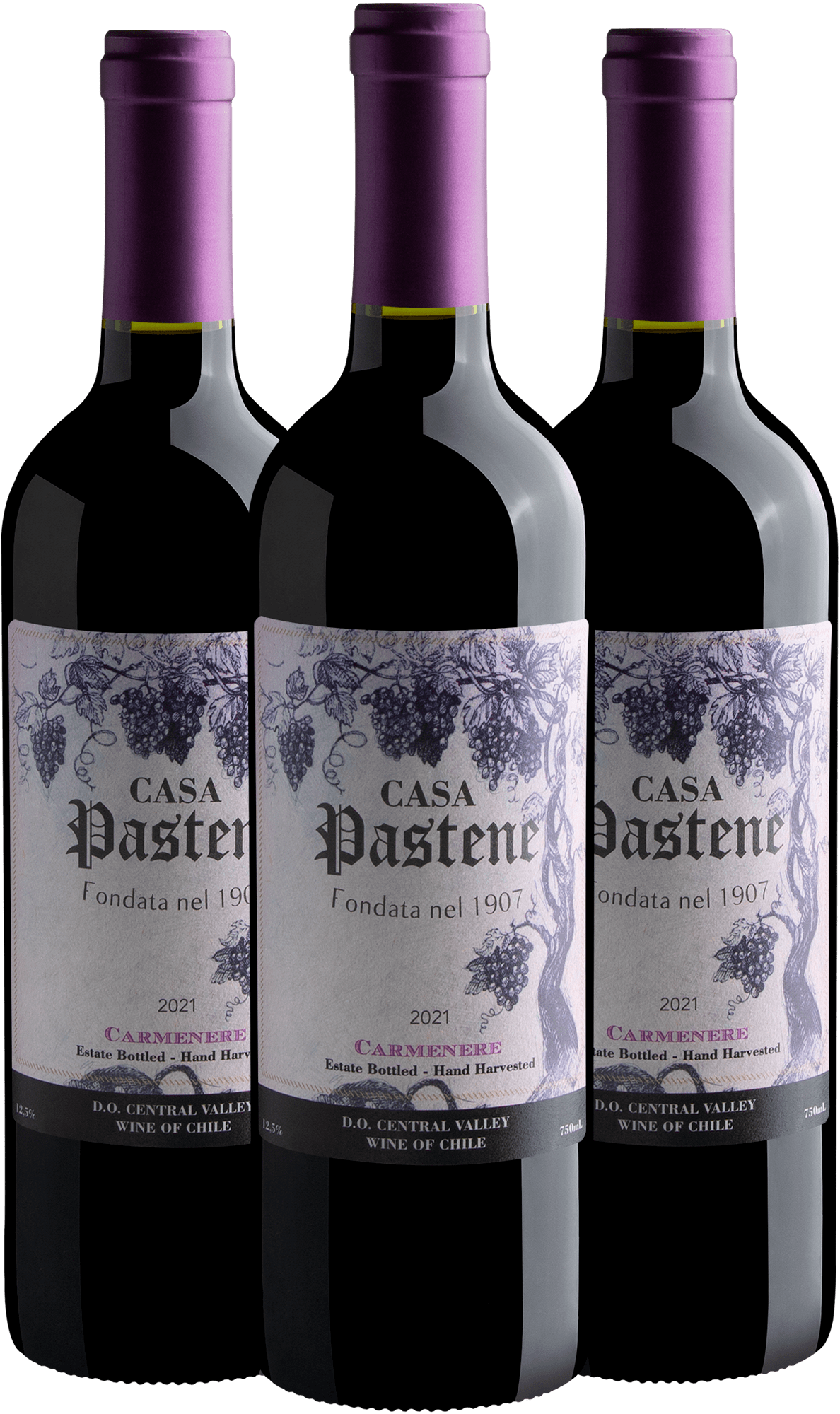 Kit 3 Casa Pastene Carmenere Central Valley D.O. 2021