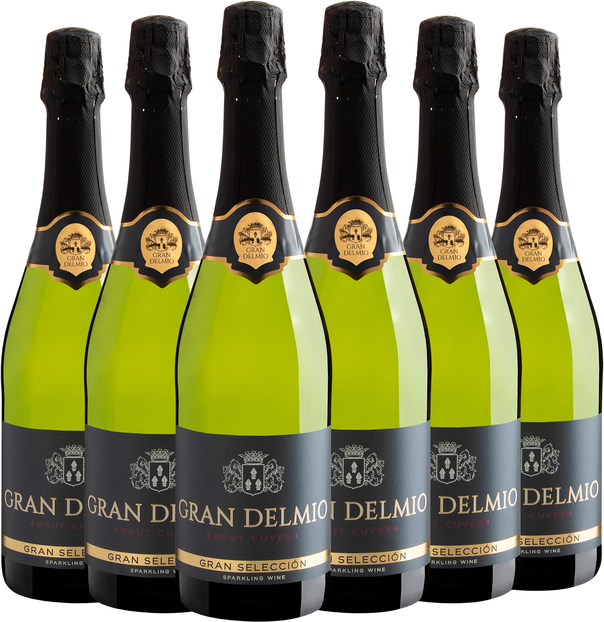 Kit 6 Gran Delmio Gran Selección Brut Cuvée por R$29,90 cada garrafa