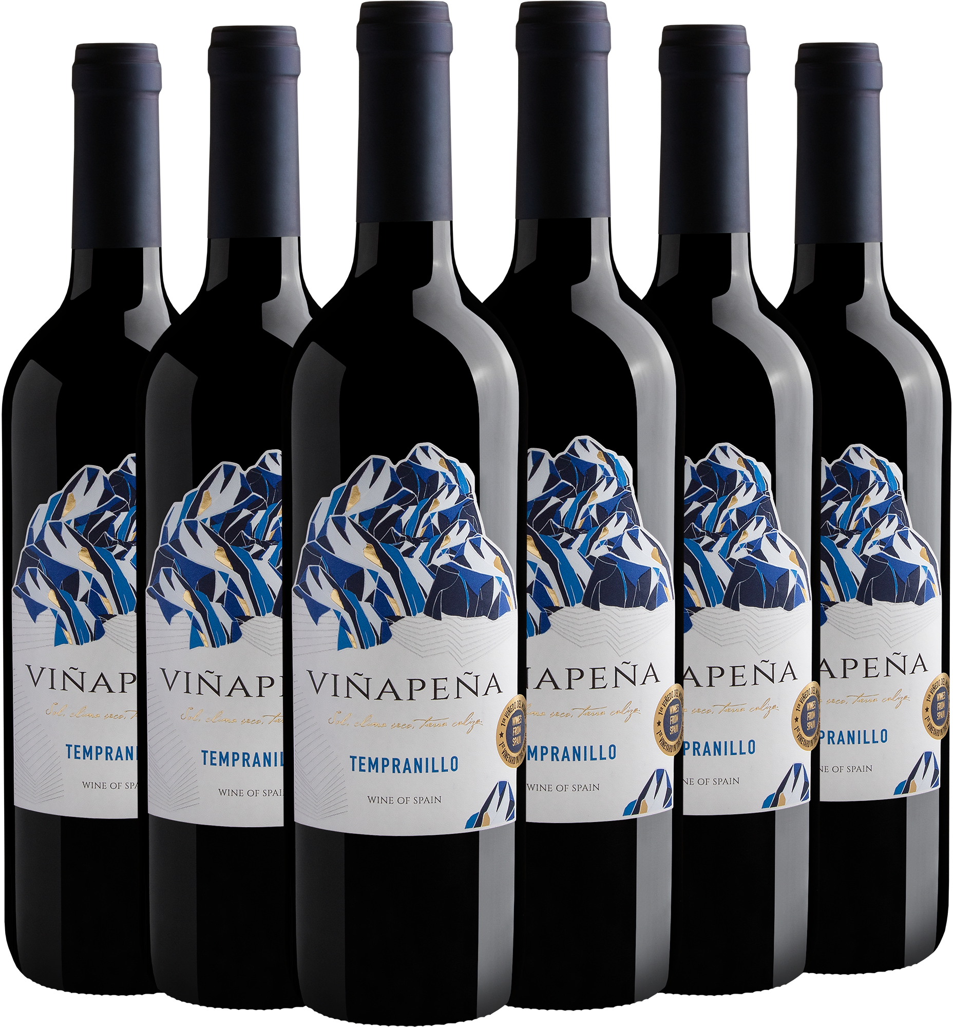 Kit 6 Viñapeña Tempranillo por R$24,90 cada garrafa