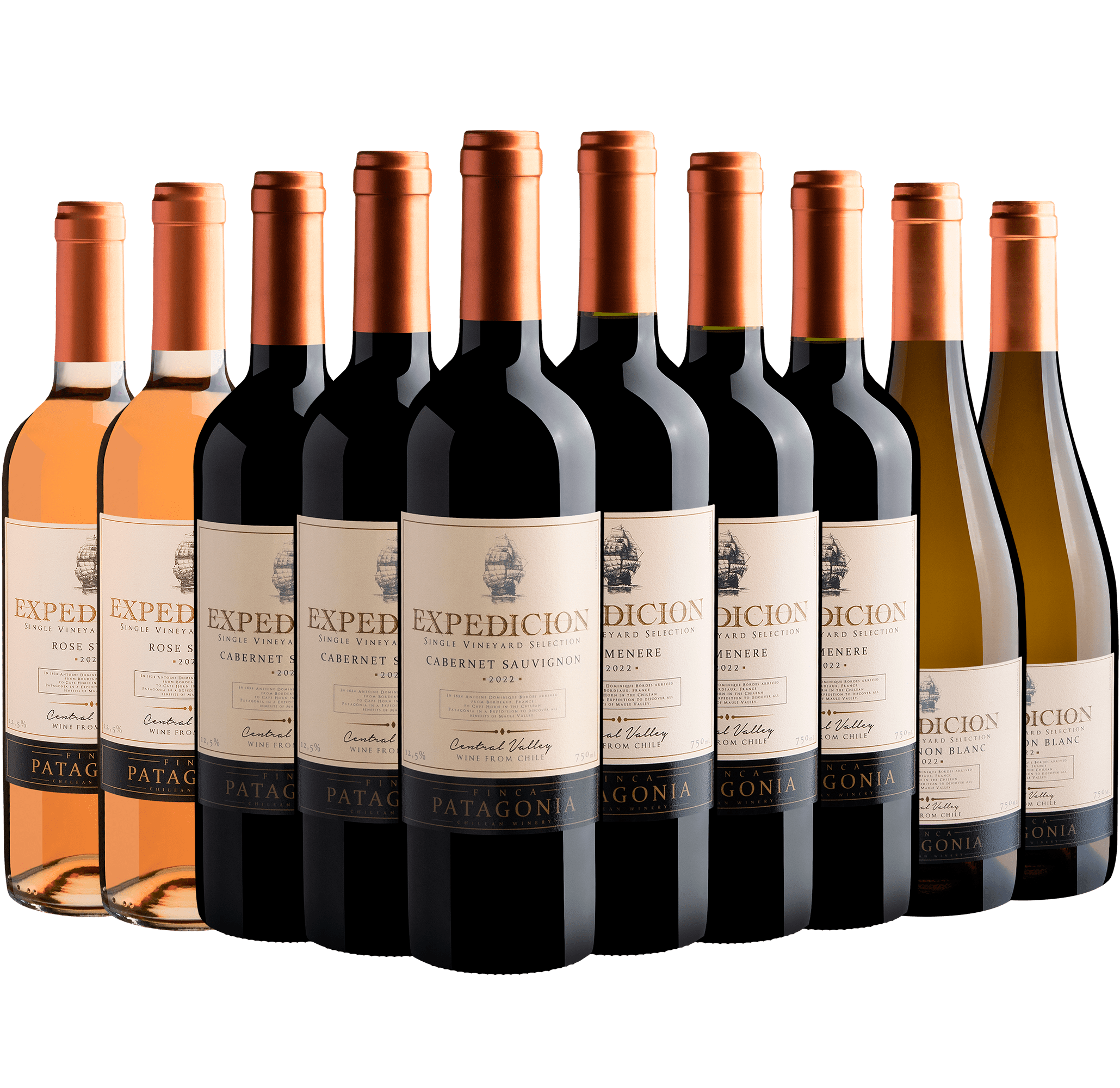 Kit Vinhos Expedicion | 10 garrafas por R$27,90 cada garrafa