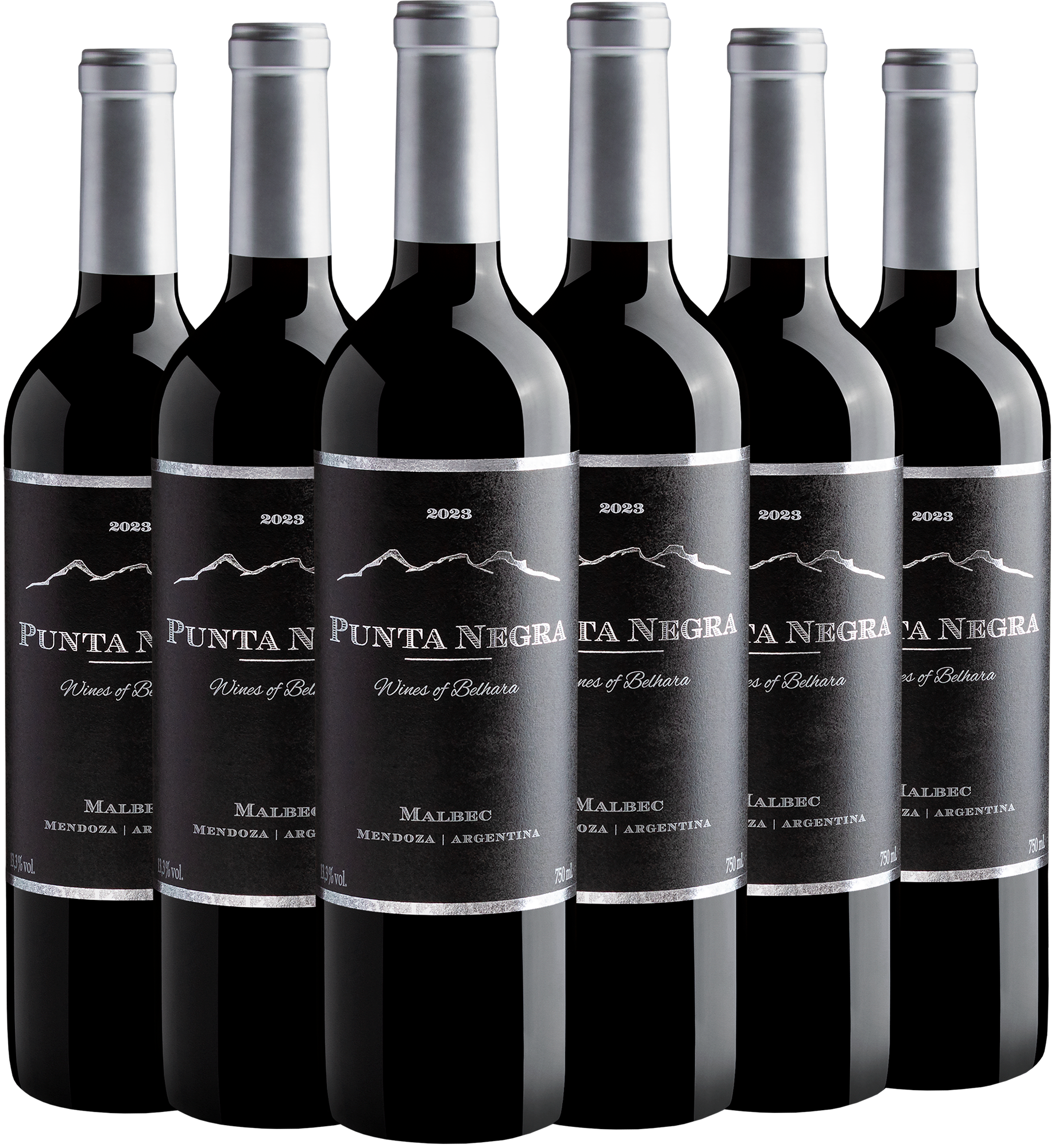 Kit 6 Punta Negra Wines of Belhara Malbec por R$36,90 cada garrafa