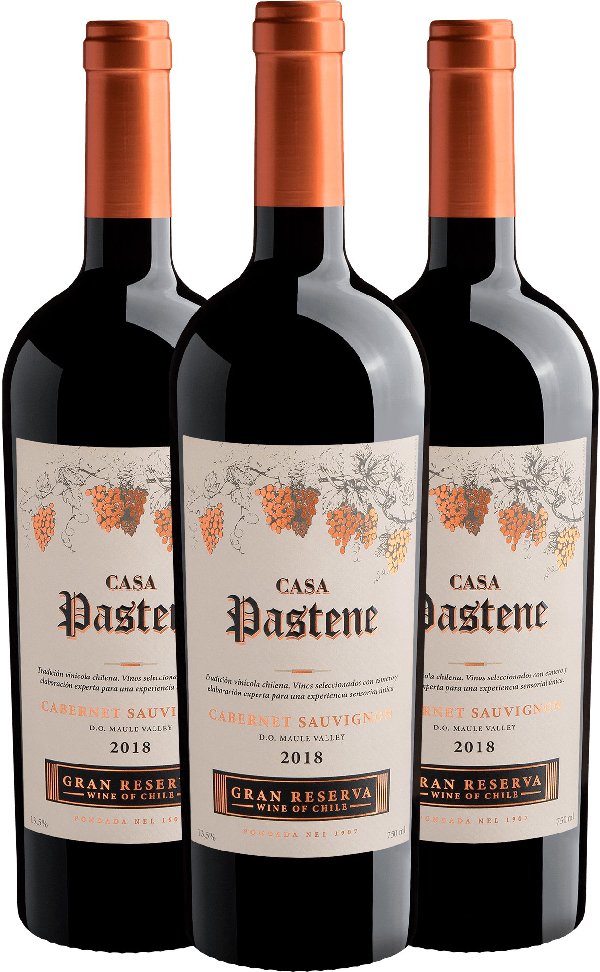 Kit 3 Casa Pastene Gran Reserva Cabernet Sauvignon por R$64,90 cada garrafa