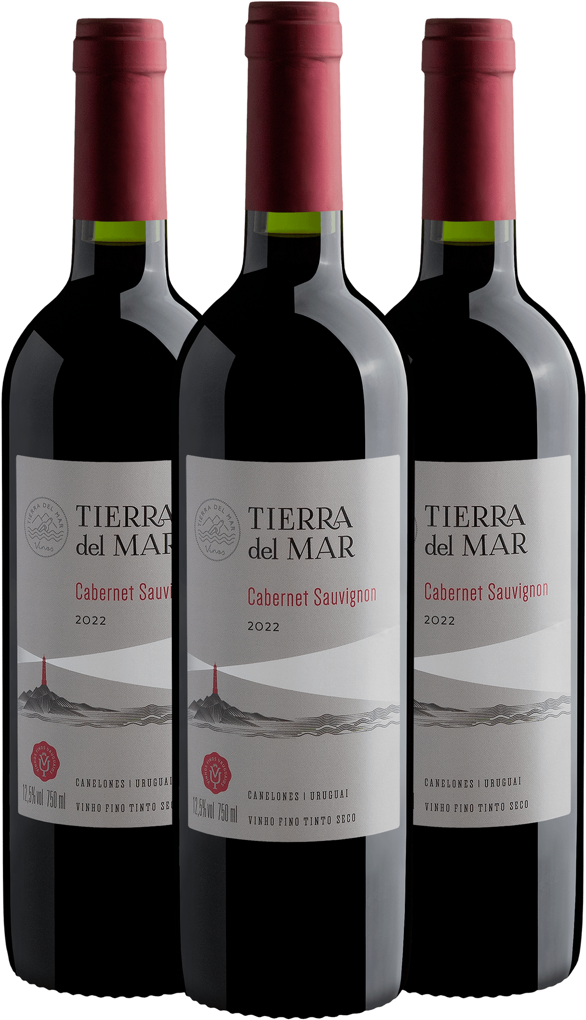 Kit 3 Tierra del Mar Cabernet Sauvignon por R$39,90 cada garrafa