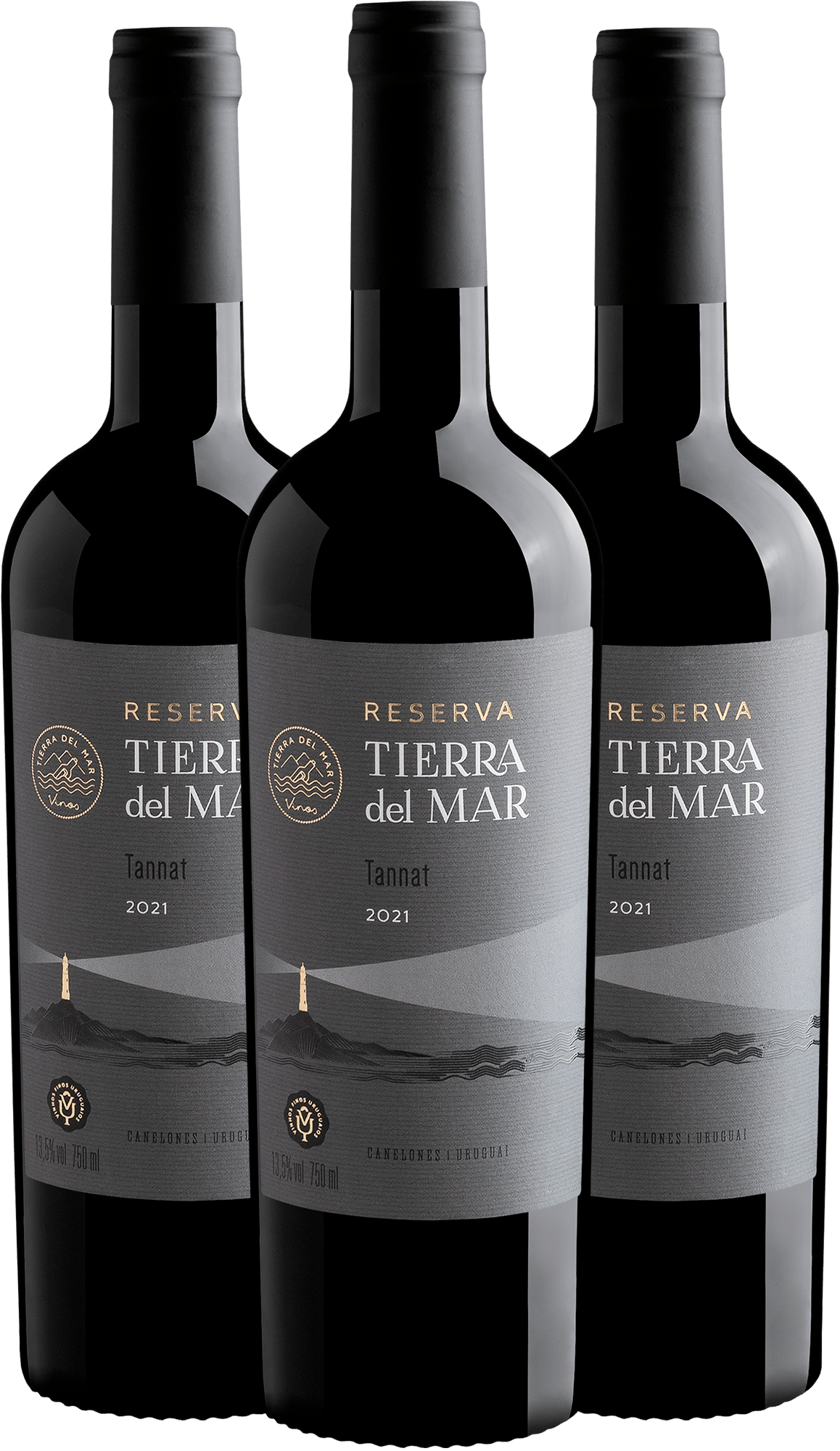 Kit 3 Tierra del Mar Reserva Tannat por R$49,90 cada garrafa