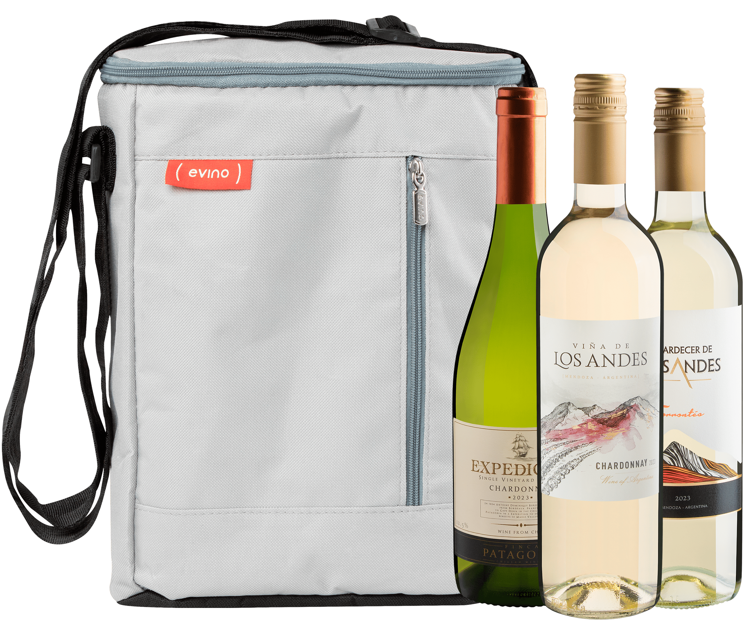 Kit 3 Vinhos Brancos + Bolsa Térmica