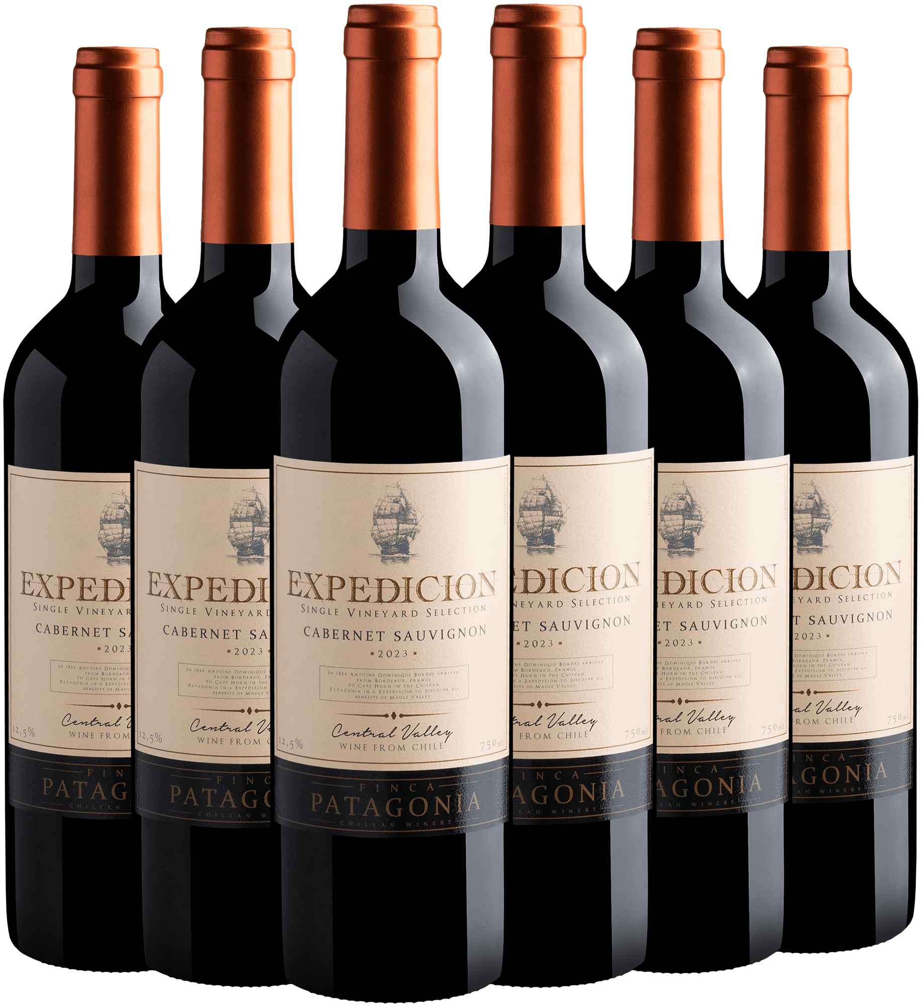 Kit 6 Expedicion Single Vineyard Selection Cabernet Sauvignon por R$23,90 cada garrafa