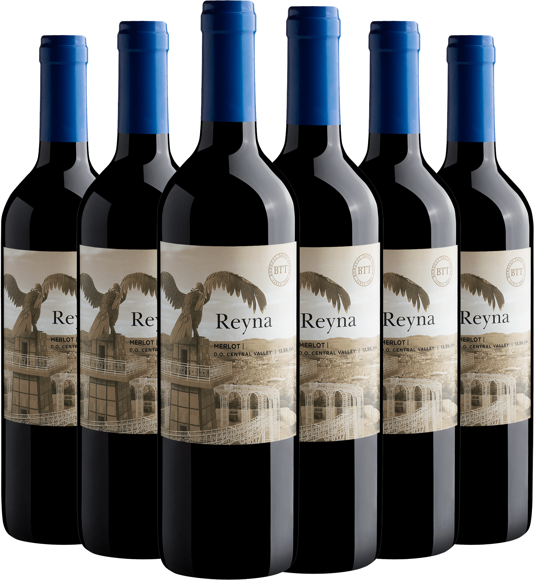 Kit 6 Reyna Merlot