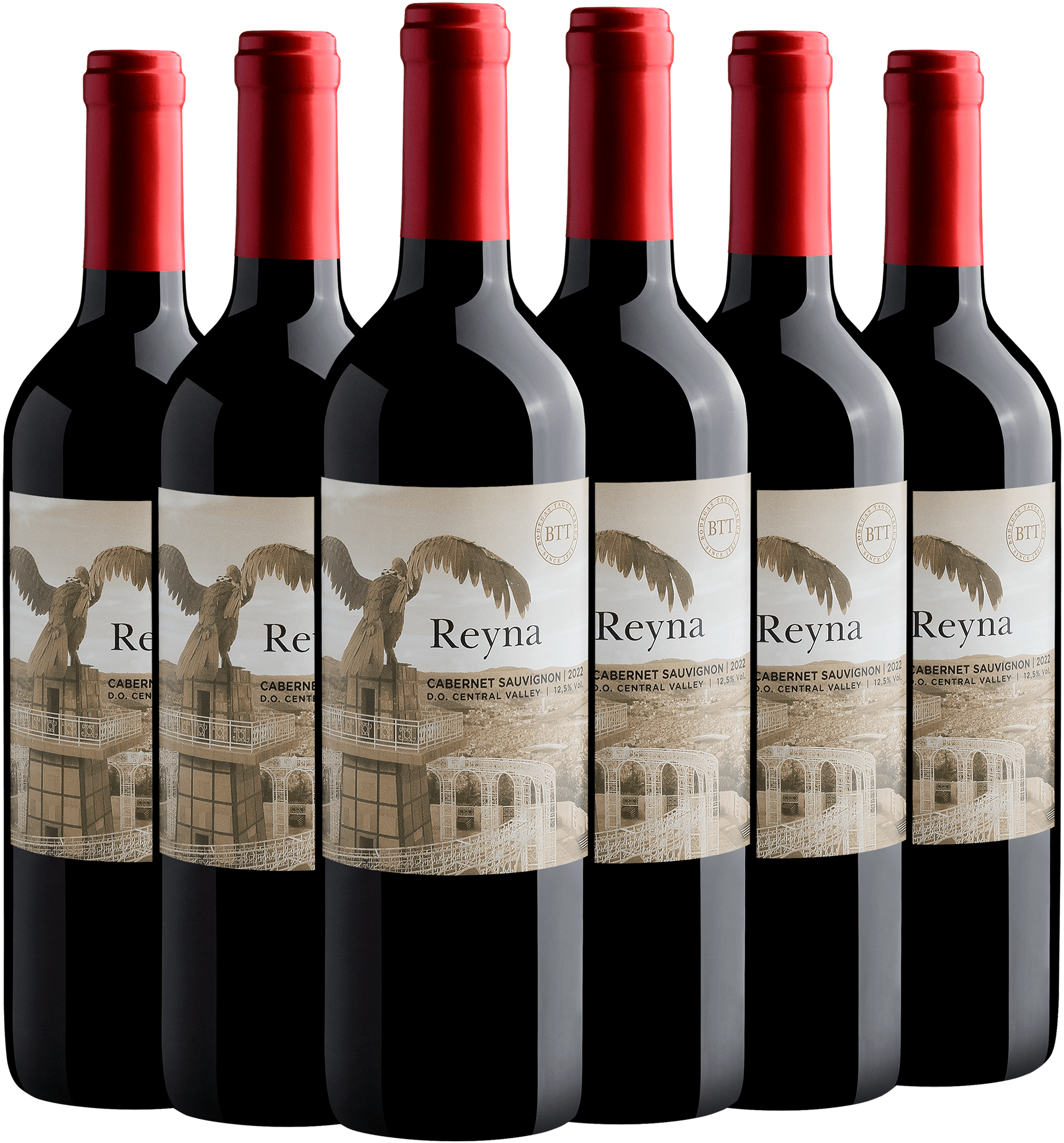 Kit 6 Reyna Cabernet Sauvignon por R$28,90 cada garrafa