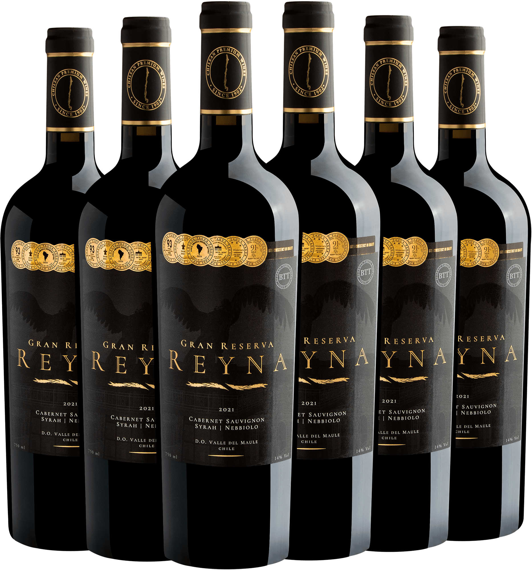 Kit 6 Reyna Gran Reserva Cabernet Sauvignon - Syrah - Nebbiolo por R$69,90 cada garrafa