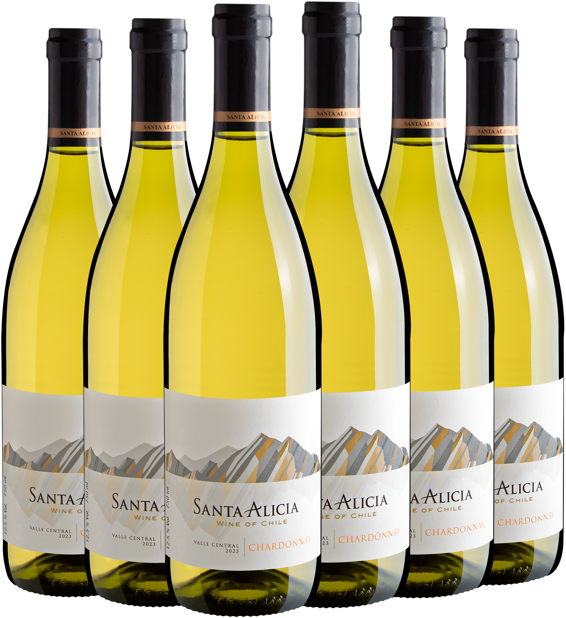 Kit 6 Santa Alicia Chardonnay por R$29,90 cada garrafa