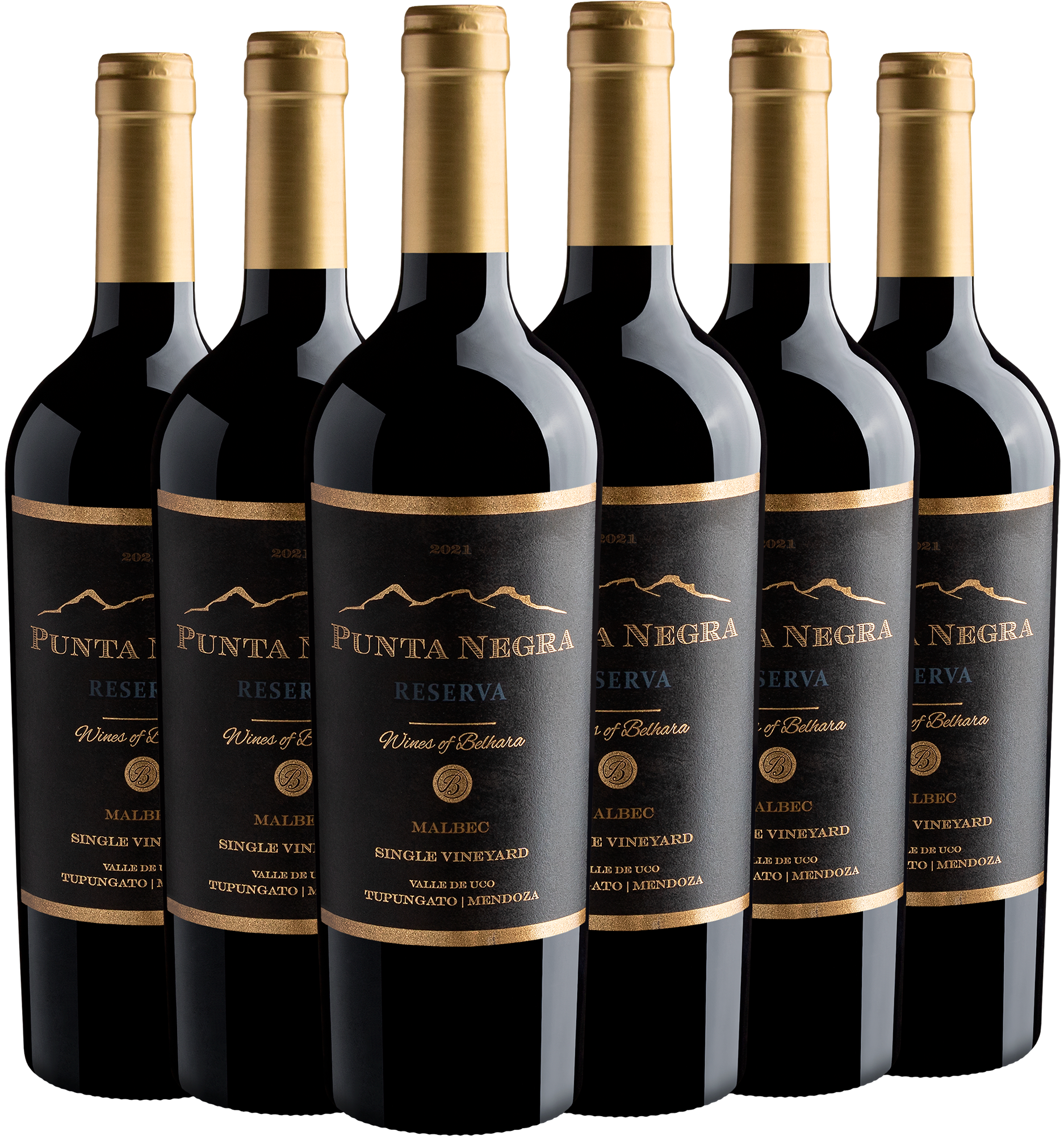 Kit 6 Punta Negra Reserva Malbec Single Vineyard por R$49,90 cada garrafa