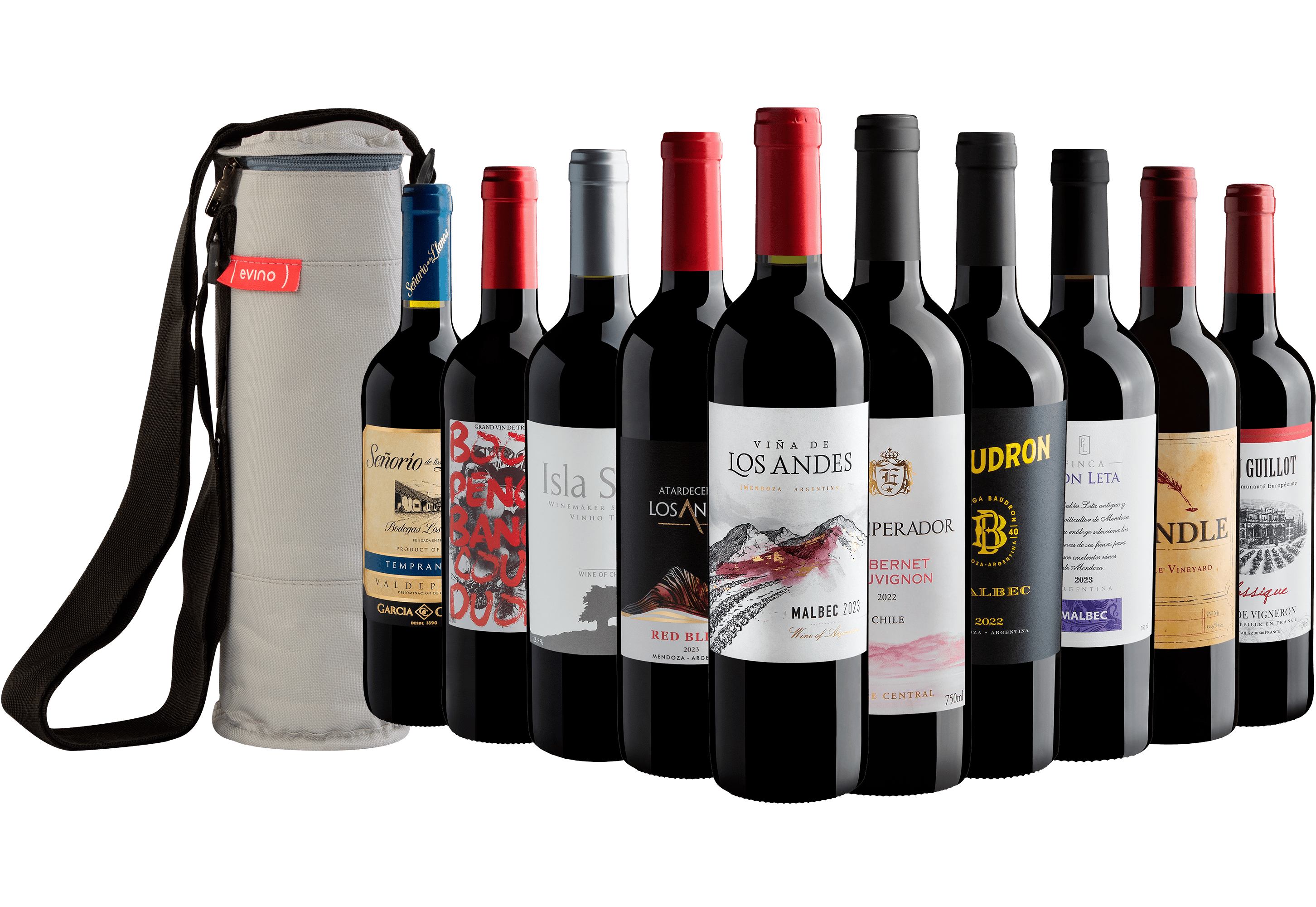 Kit Saldão | 10 garrafas por R$27,90 cada + Bolsa Exclusiva Grátis