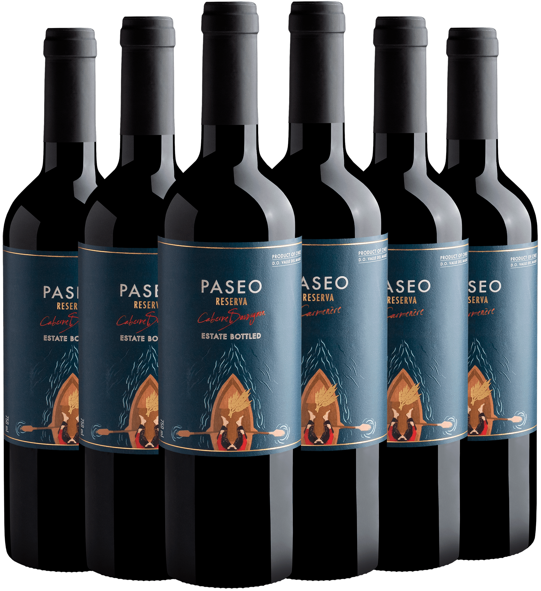 Kit Paseo Reserva | 3 Cabernet Sauvignon + 3 Carménère por R$29,90 cada garrafa