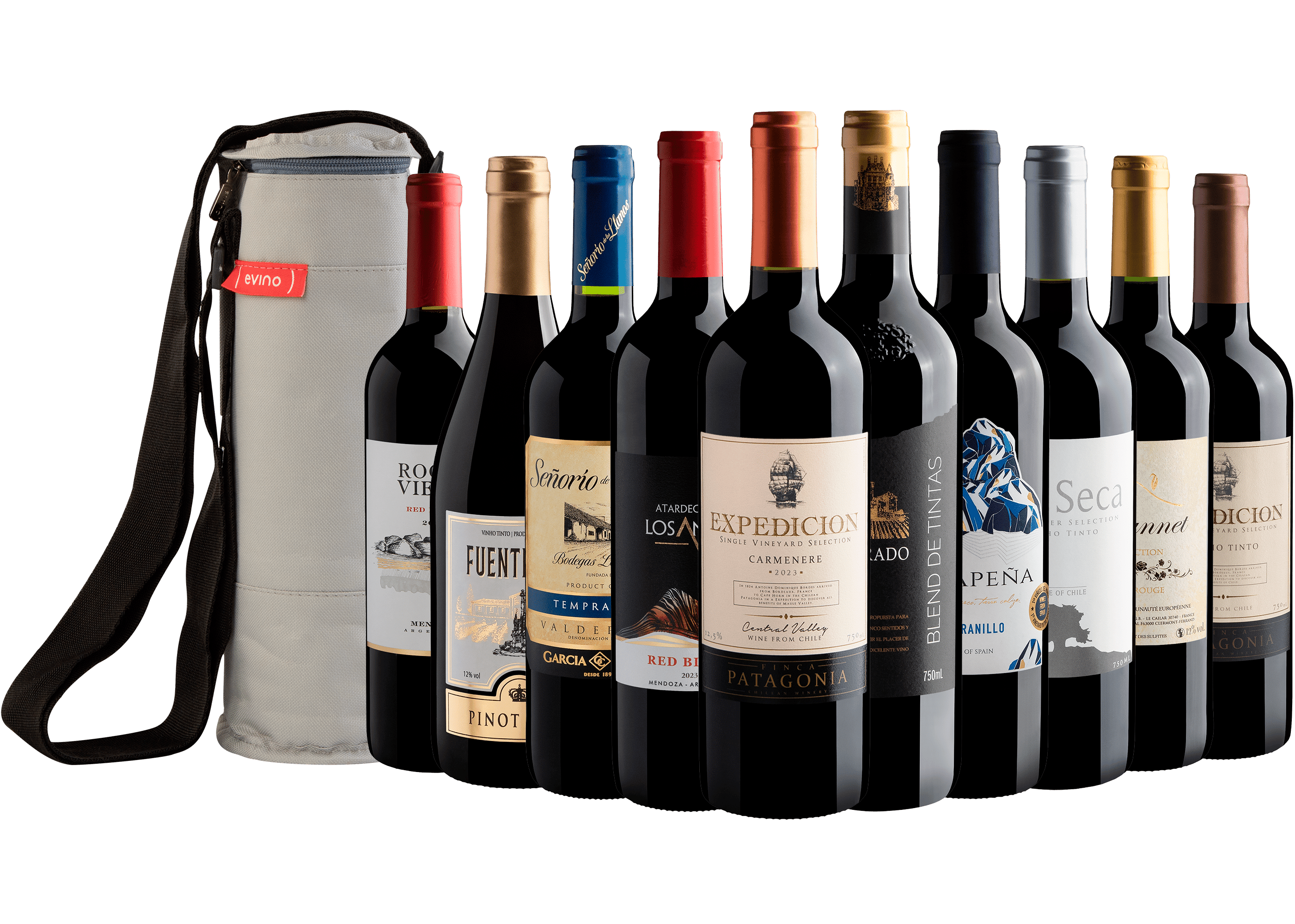 Kit 10 Vinhos por R$28,90 cada garrafa + Bolsa Térmica Grátis*