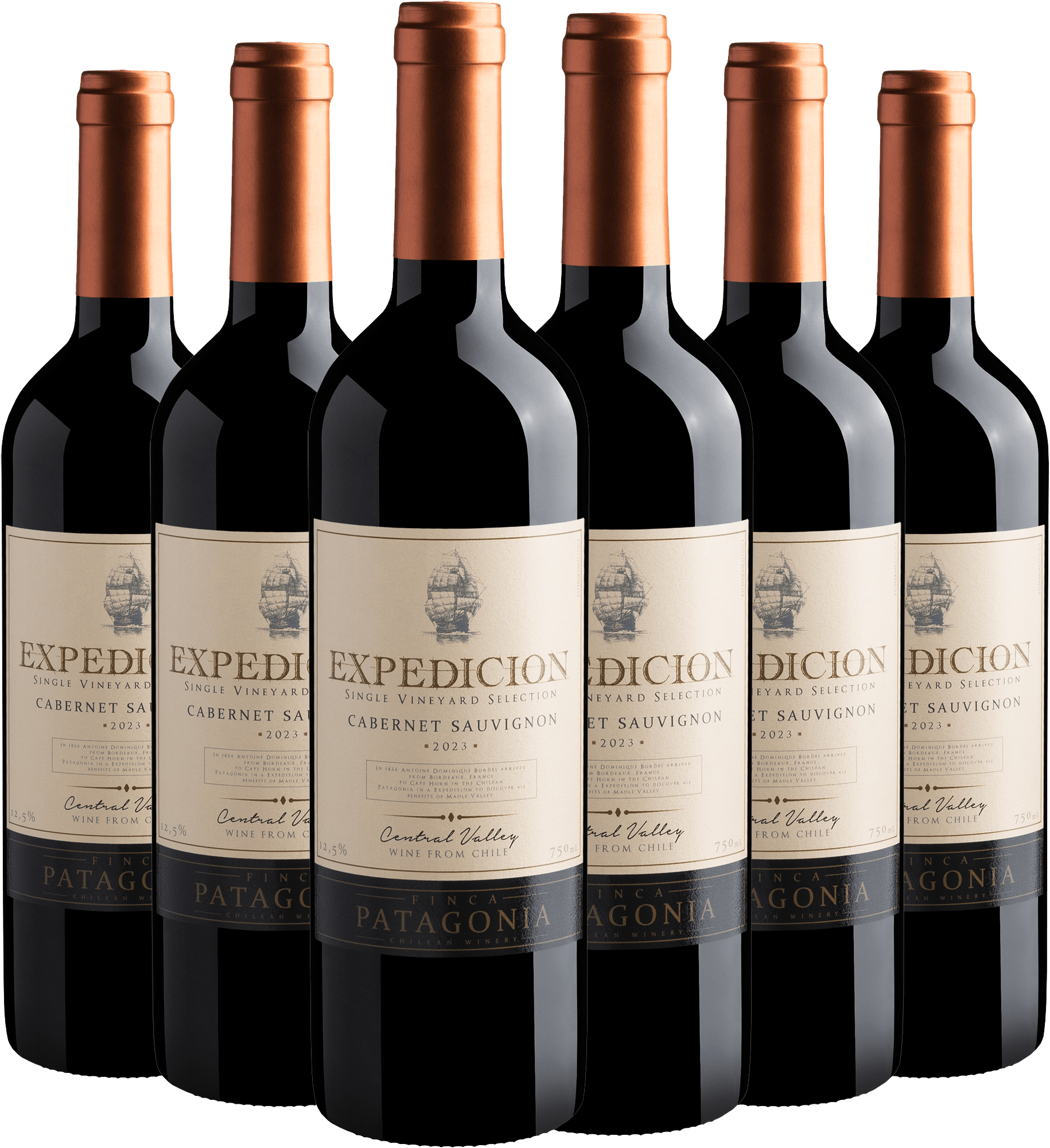 Kit 6 Expedicion Single Vineyard Selection Cabernet Sauvignon Central Valley D.O.