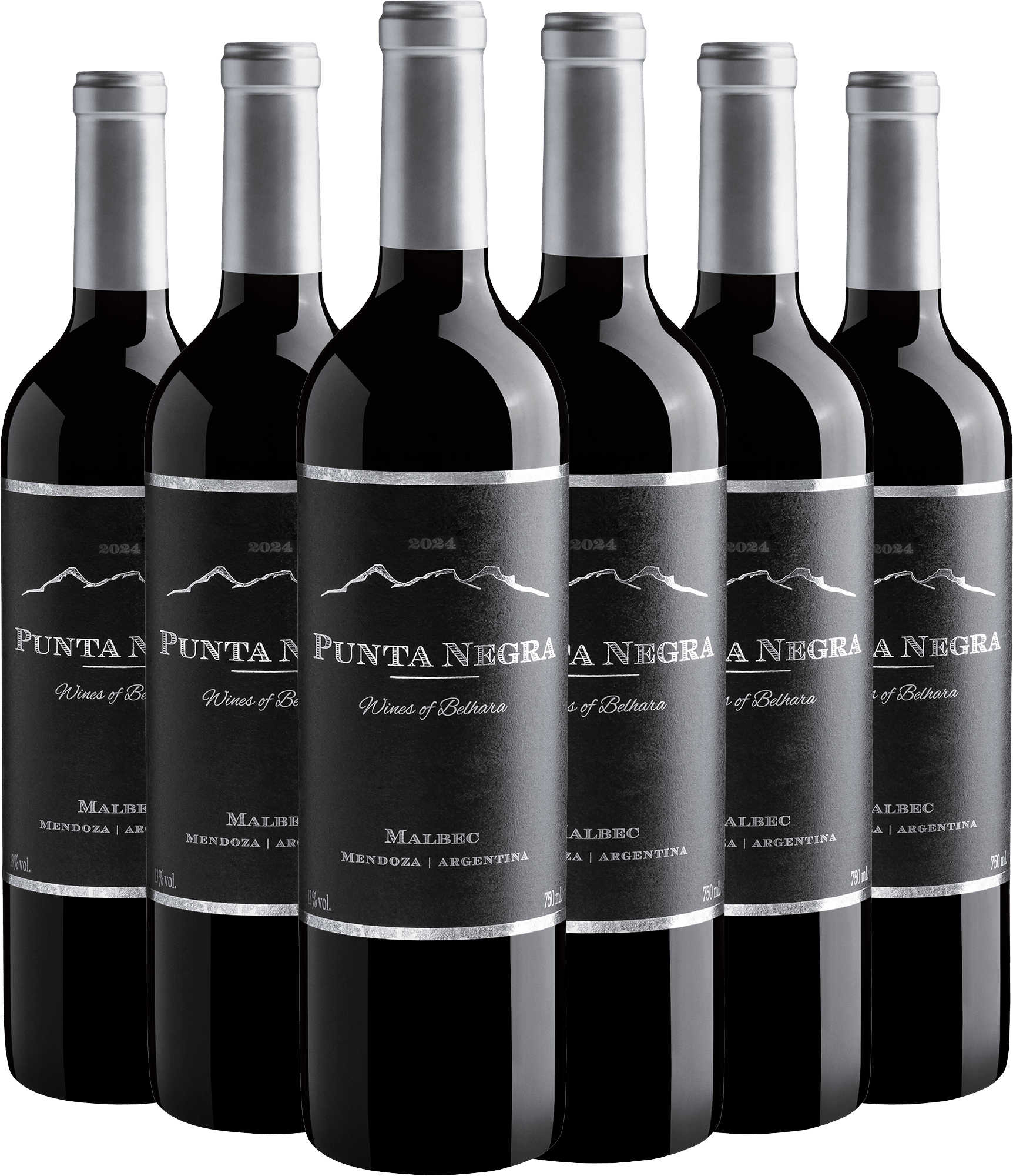 Kit 6 Punta Negra Wines of Belhara Malbec