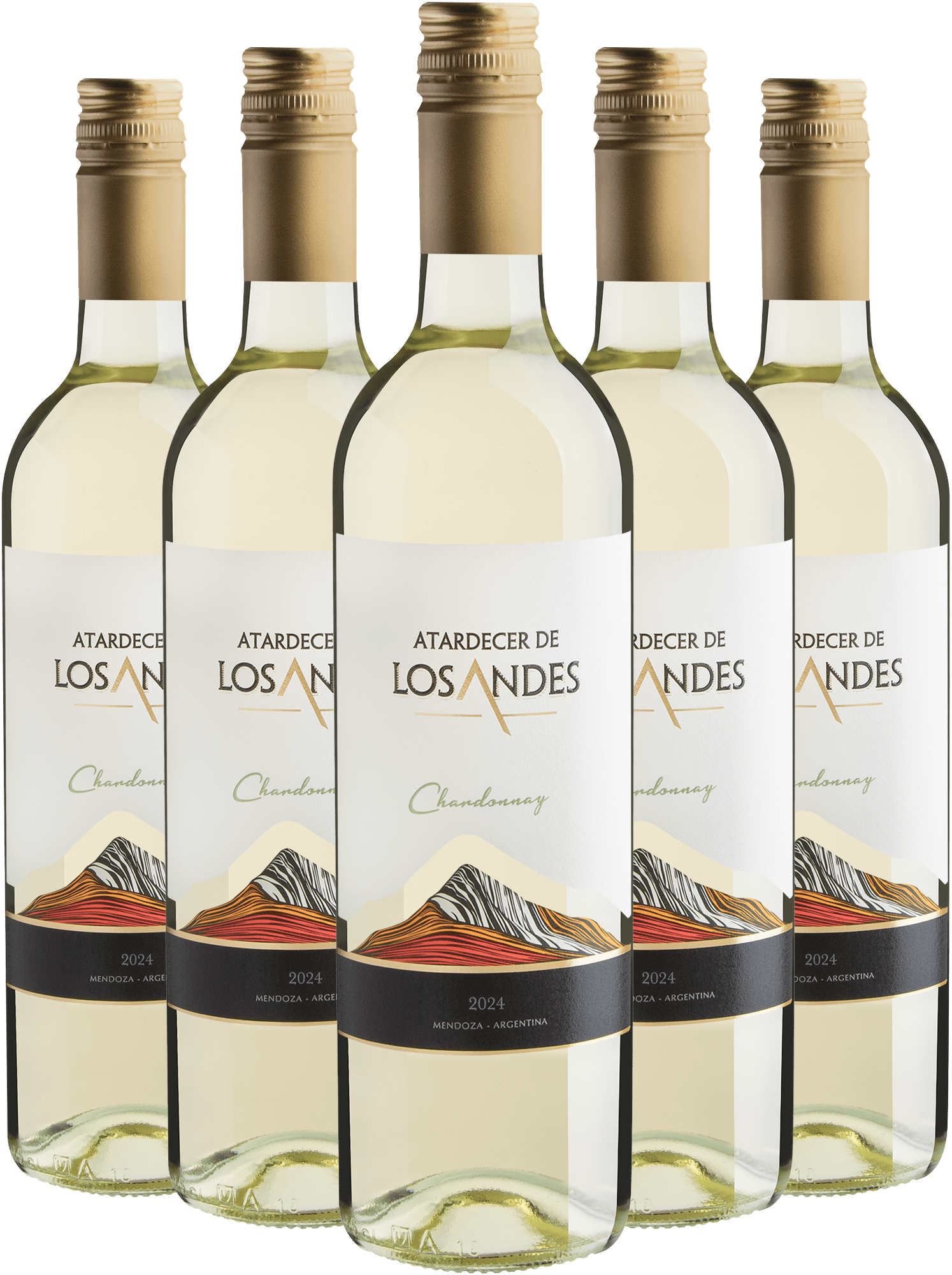 Kit 5 Atardecer De Los Andes Chardonnay por R$29,90 cada garrafa