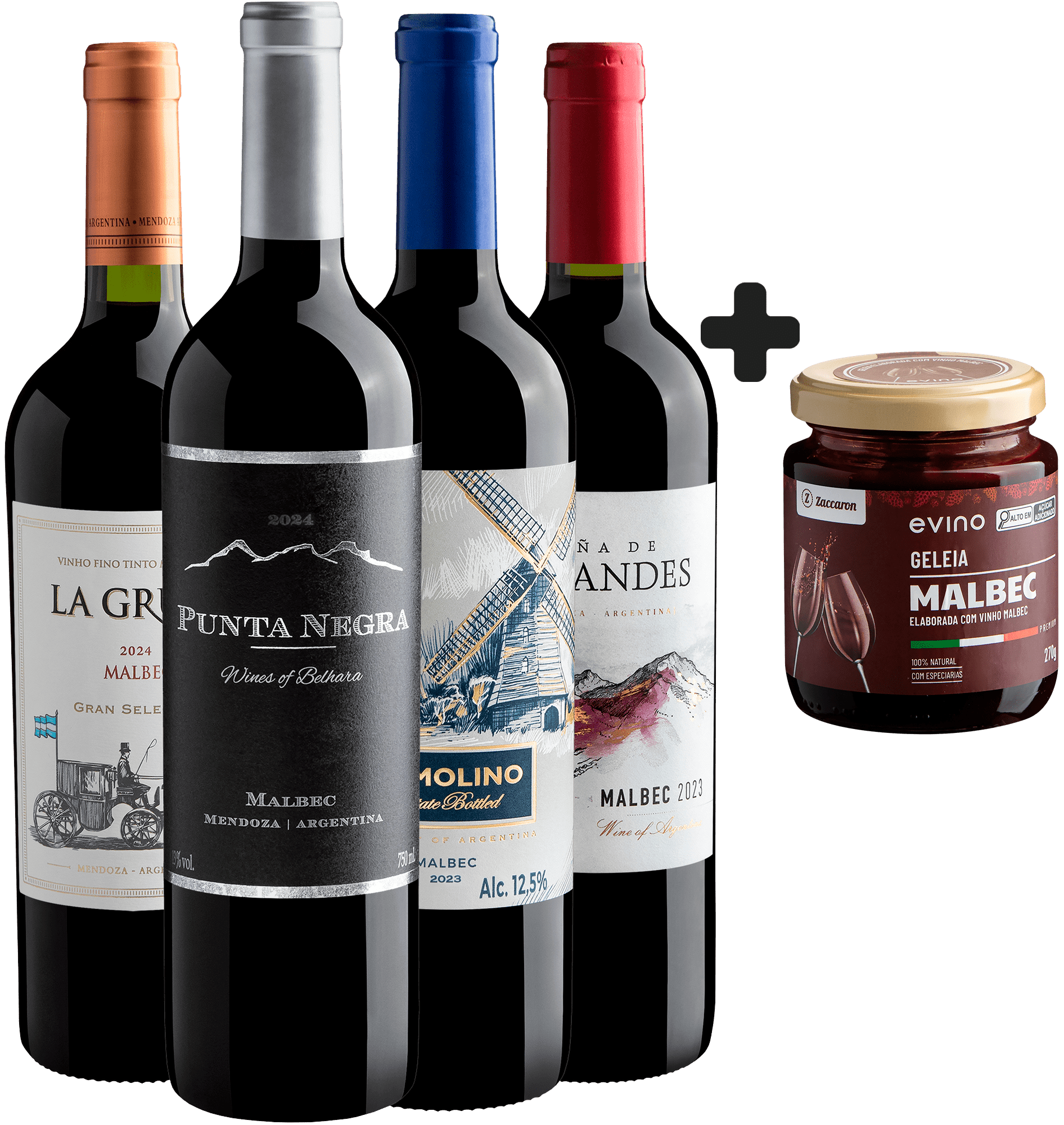 Kit 4 Malbecs Argentinos + Geleia Uva Malbec Premium Exclusivo