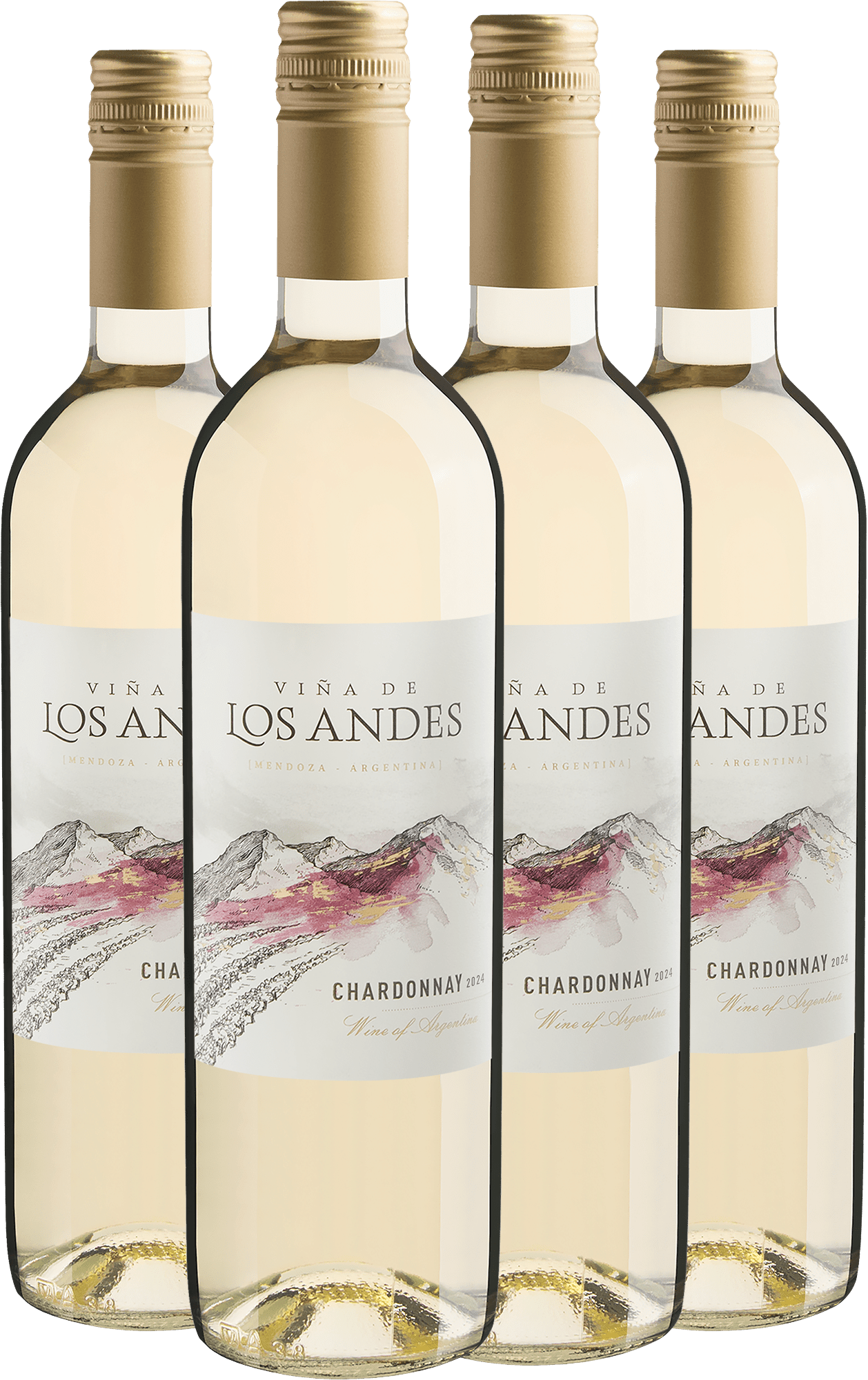 Kit 4 Viña de Los Andes Chardonnay por R$29,90 cada garrafa