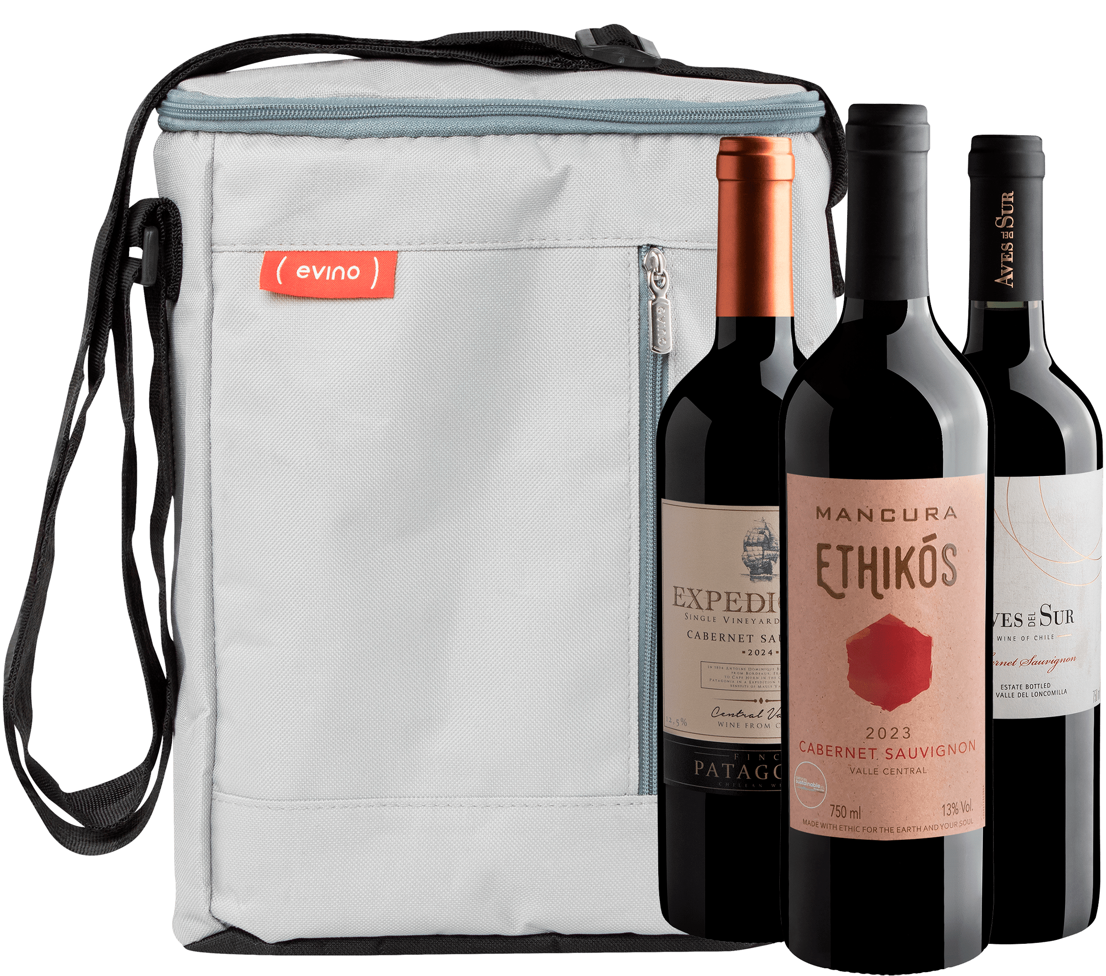 Kit 3 Cabernets Sauvignons Chilenos + Bolsa Térmica