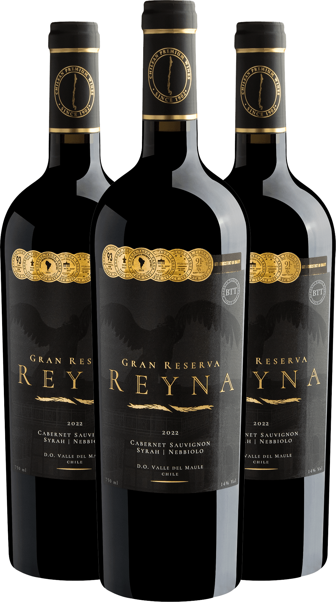 Kit 3 Reyna Gran Reserva Cabernet Sauvignon - Syrah - Nebbiolo Valle del Maule D.O. por R$99,90 cada garrafa