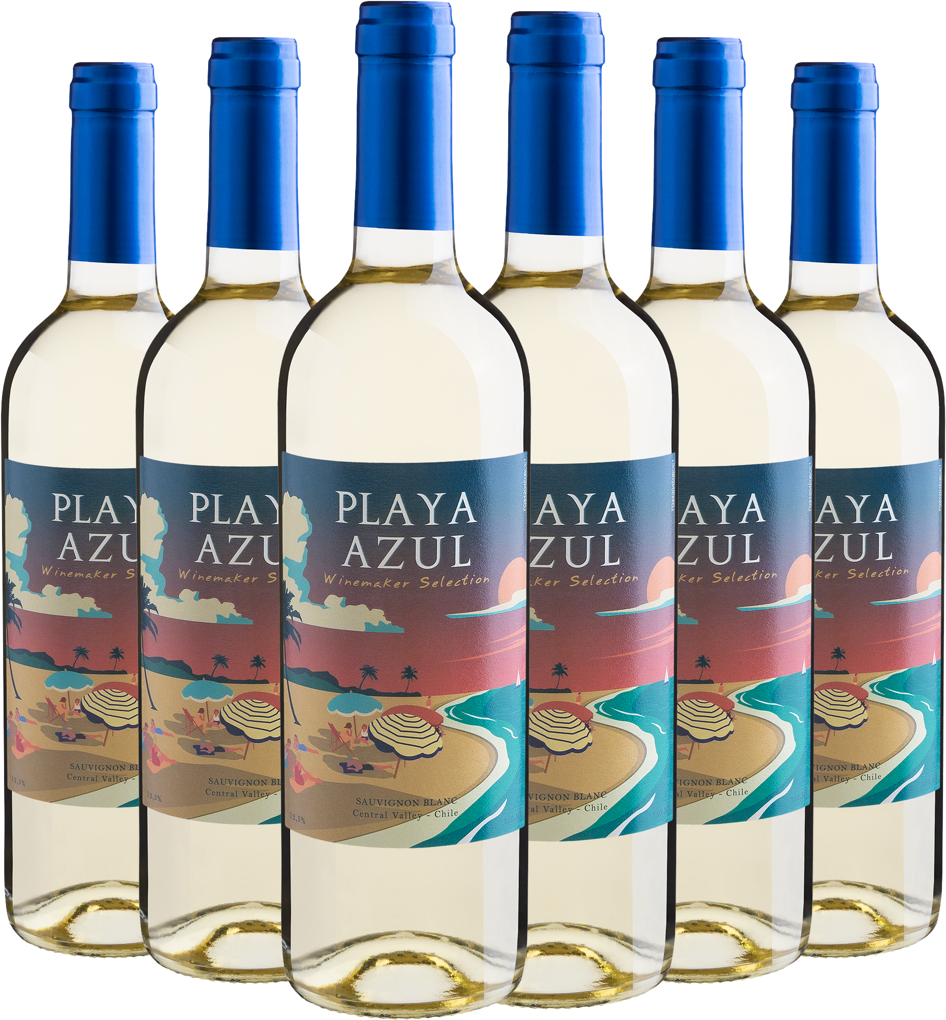 Kit 6 Playa Azul Winemaker Selection Sauvignon Blanc Central Valley D.O.