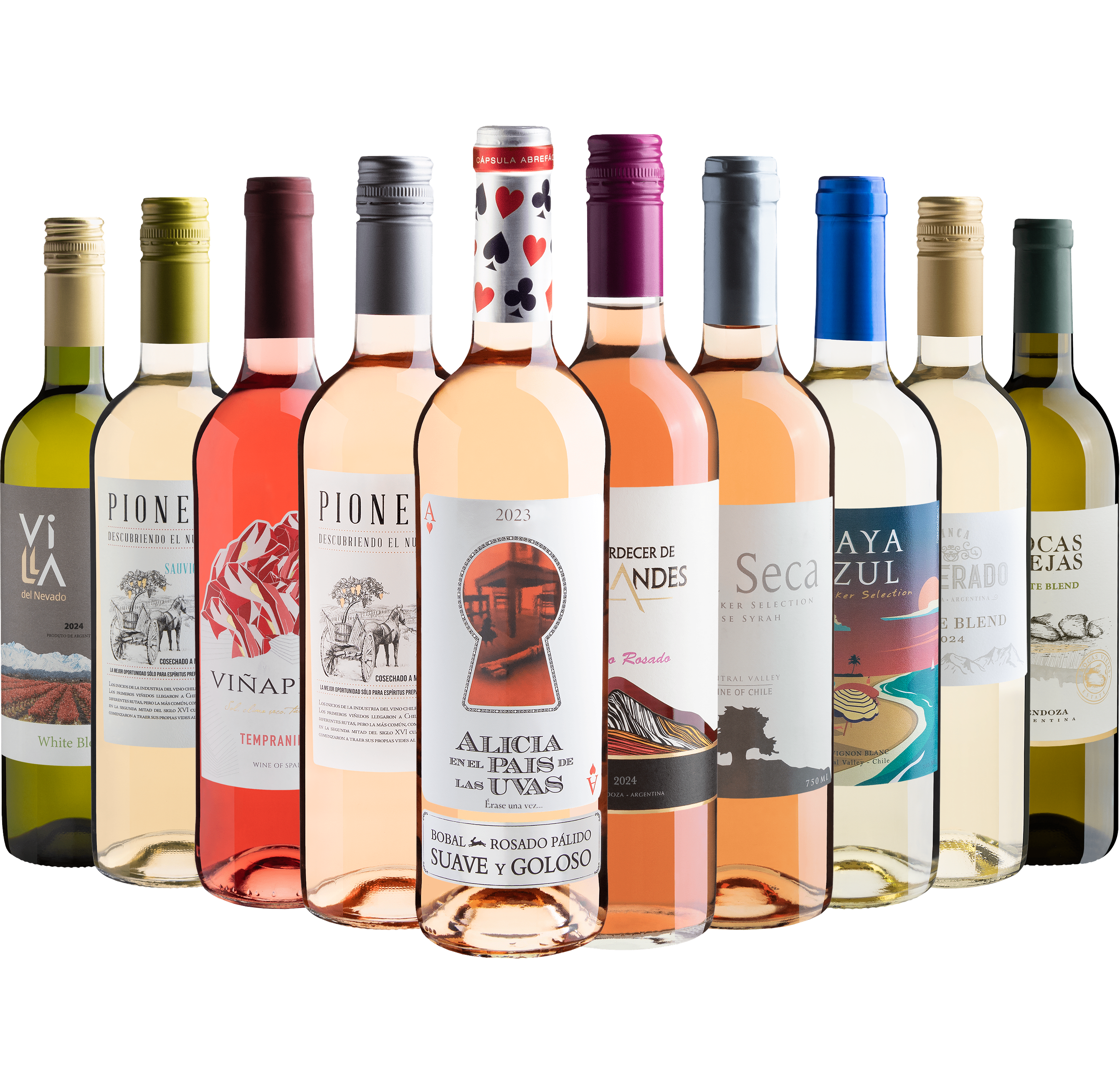 Kit 10 Vinhos Refrescantes com Alicia Rosé por R$25,90 cada garrafa