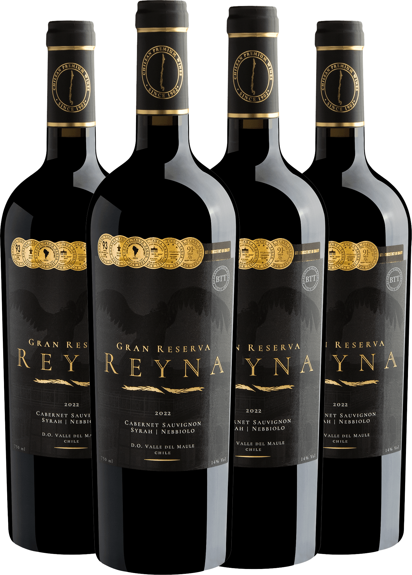 Kit 4 Reyna Gran Reserva Cabernet Sauvignon - Syrah - Nebbiolo Valle del Maule D.O.
