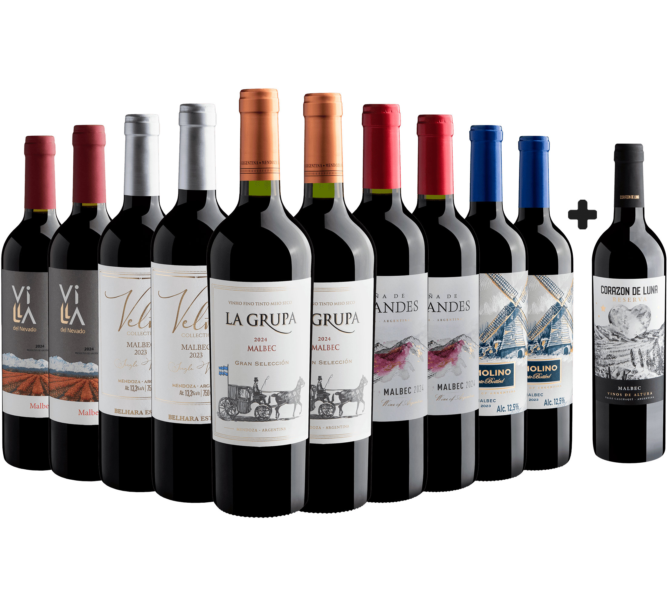 Kit Malbecs | 10 garrafas por R$29,90 cada + 1 Corazon de Luna Malbec Reserva Grátis