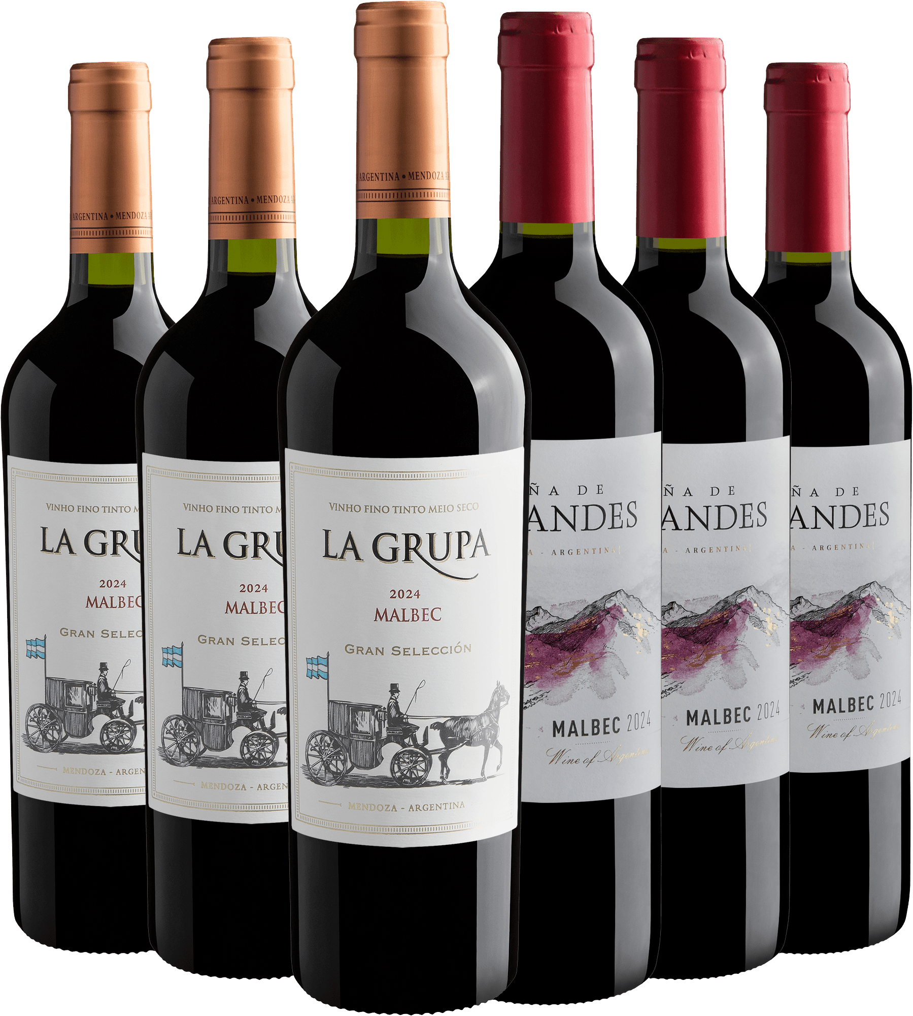 Kit Malbecs Best Sellers | 6 garrafas por R$24,90 cada*