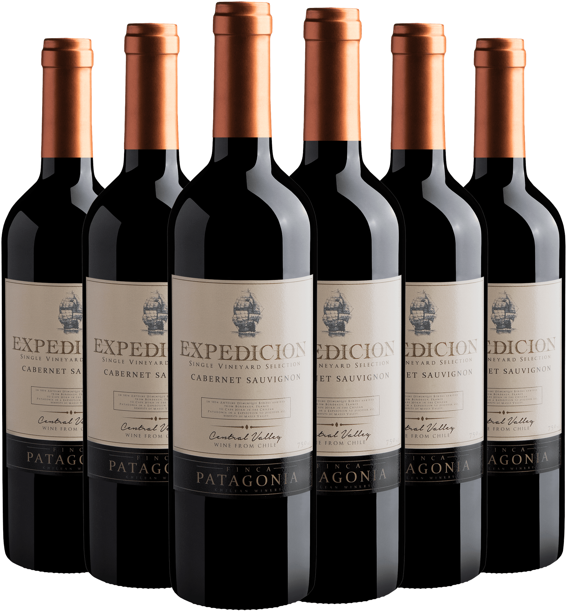 Kit 6 Finca Patagonia Expedicion Cabernet Sauvignon Central Valley D.O. por R$28,90 cada garrafa + Frete Grátis*