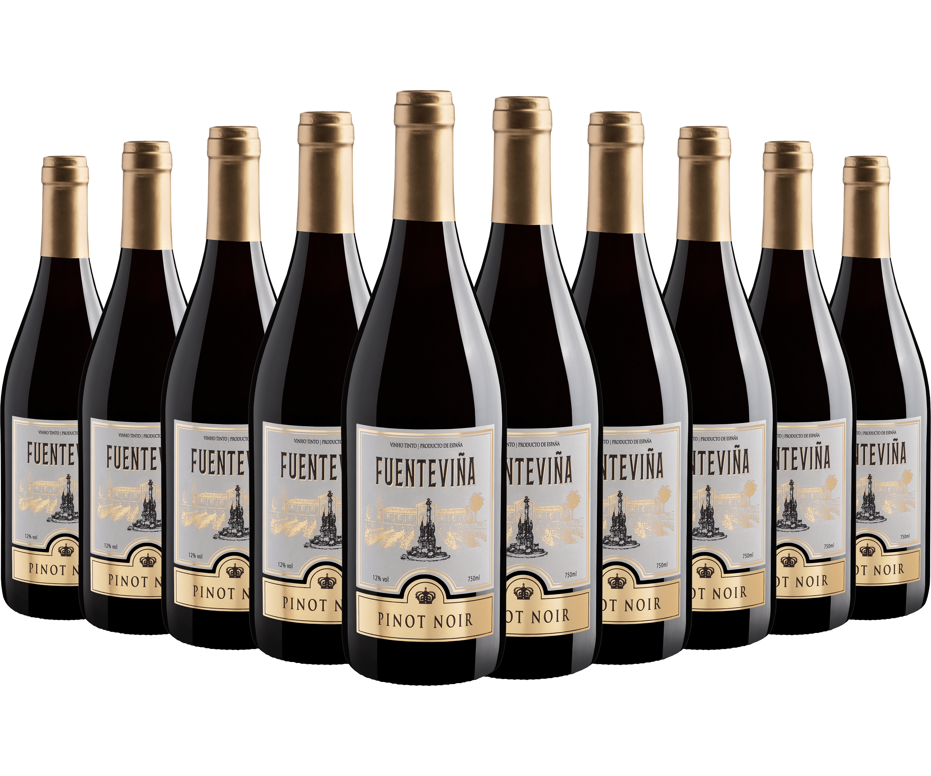 Kit 10 Fuenteviña Pinot Noir
