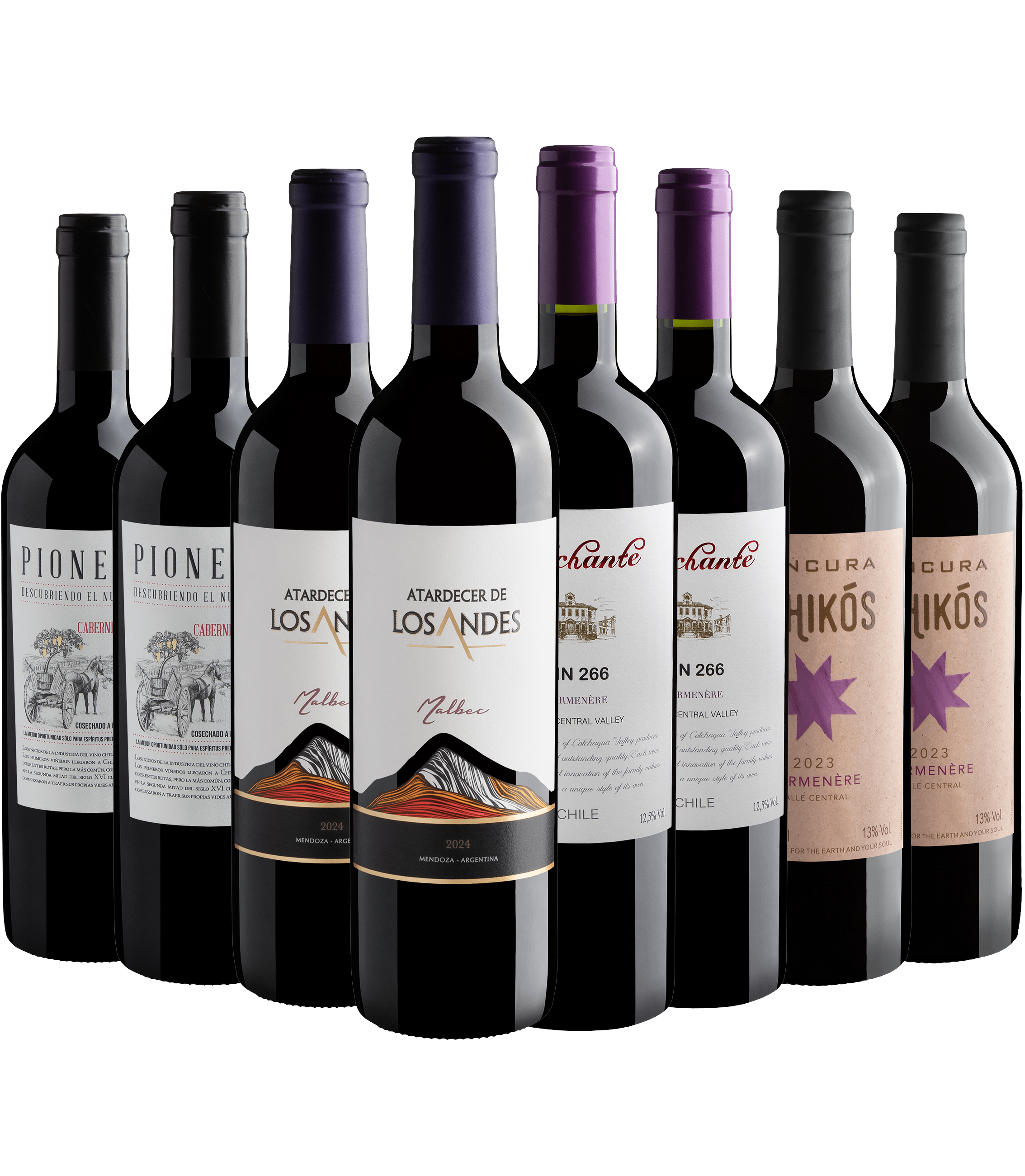 Kit Cabernet Sauvignon, Carménère e Malbec | 8 garrafas por R$24,90 cada*