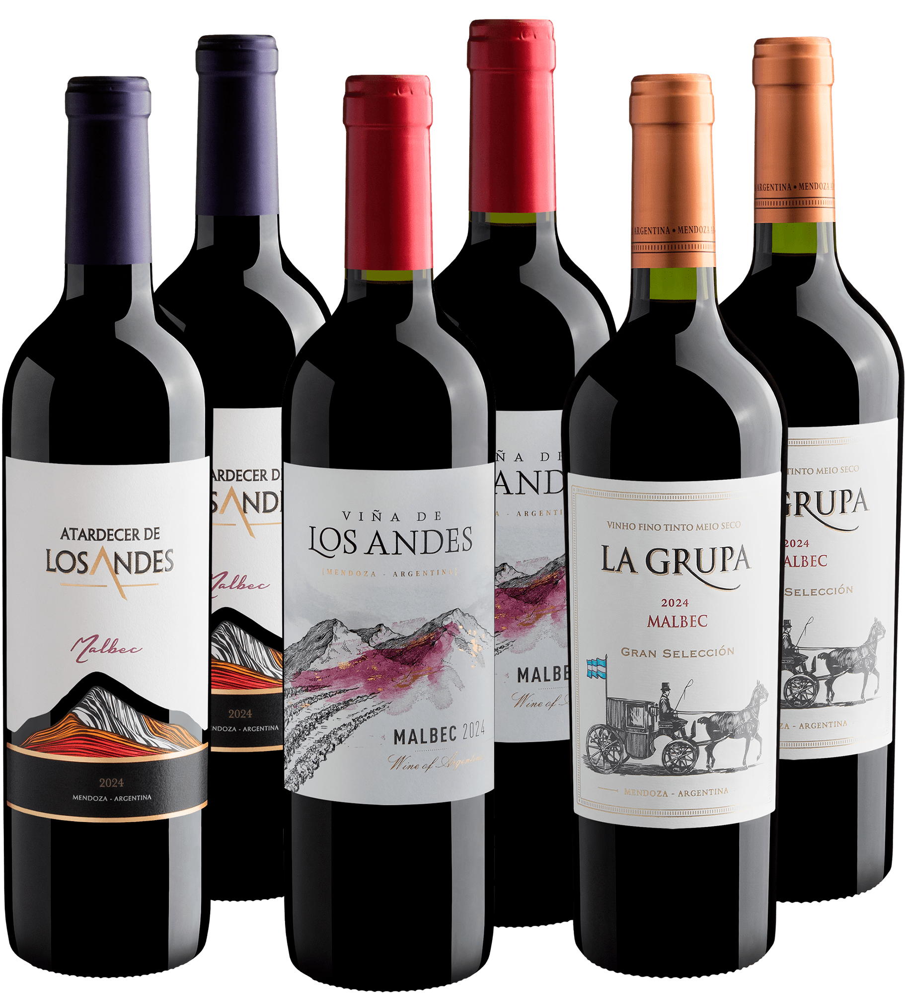 Kit Malbecs em Dobro | 6 garrafas por R$29,90 cada*