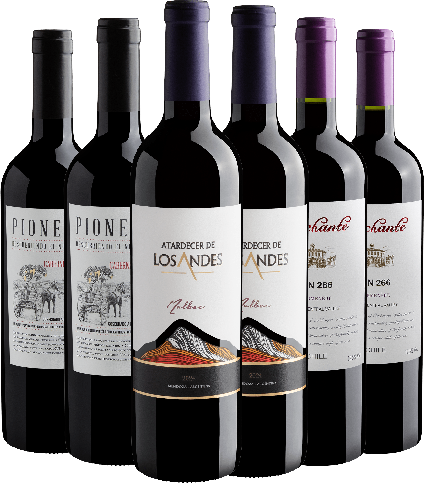 Kit Uvas Ícones | 6 garrafas por R$26,90 cada*
