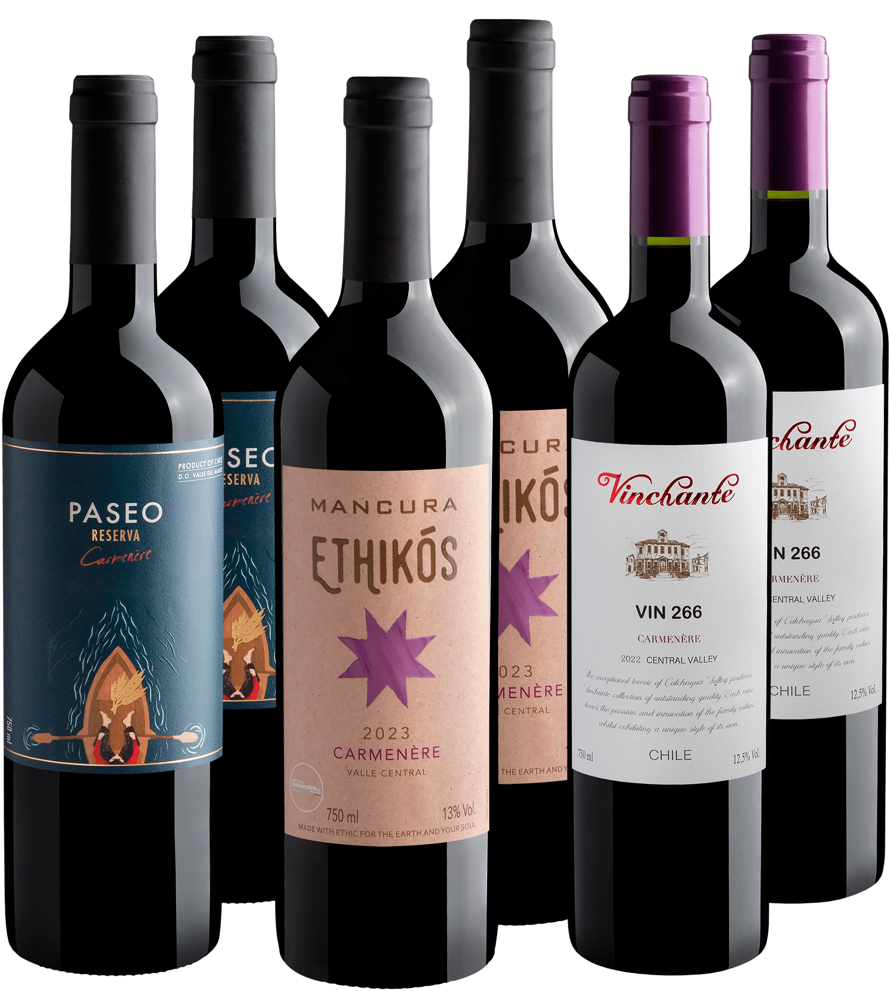 Kit 6 Carménères Chilenos com Paseo Reserva por R$27,90 cada garrafa