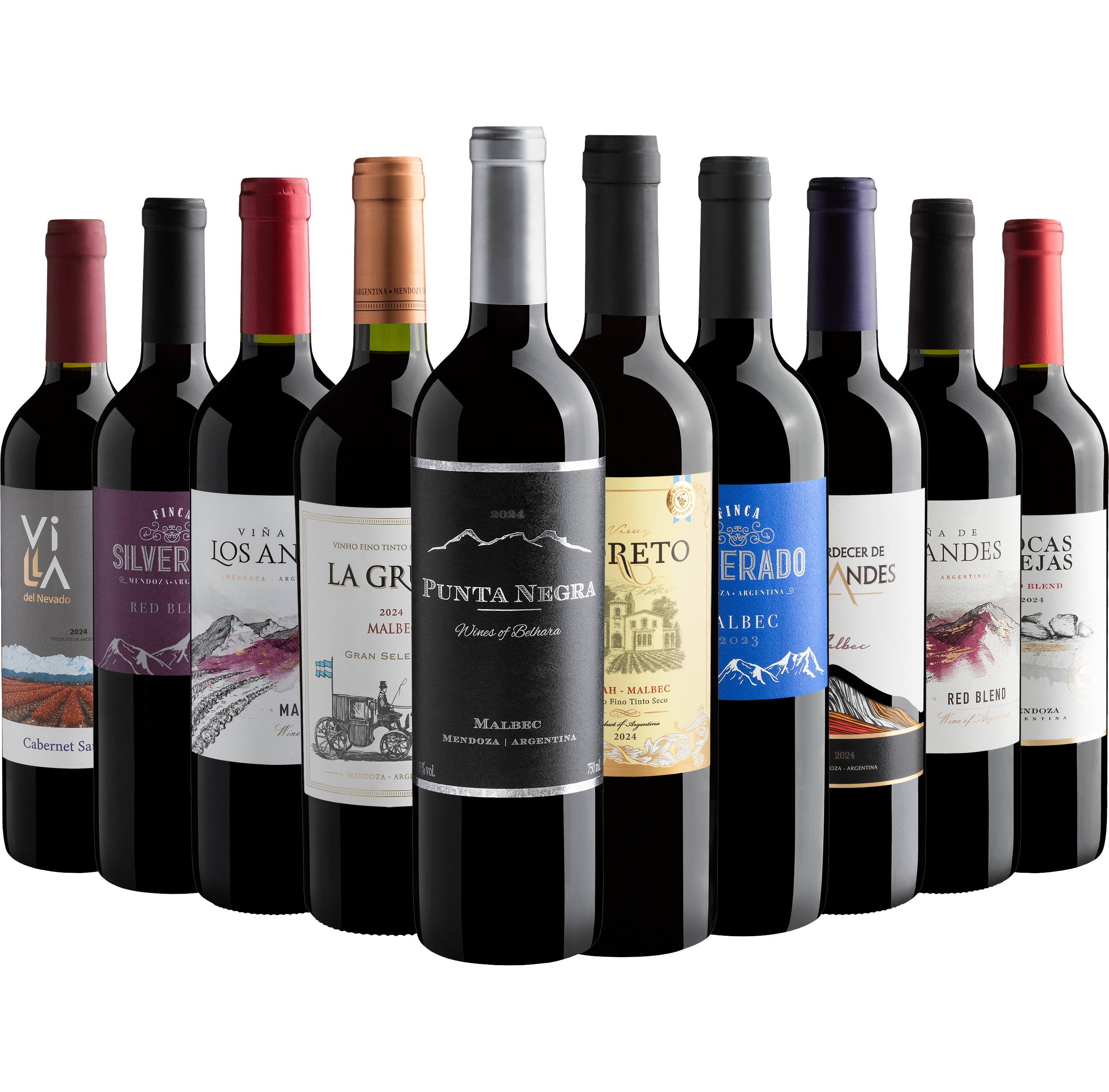 Kit 10 Tintos Argentinos por R$29,90 cada garrafa com Punta Negra Wines of Belhara Malbec*