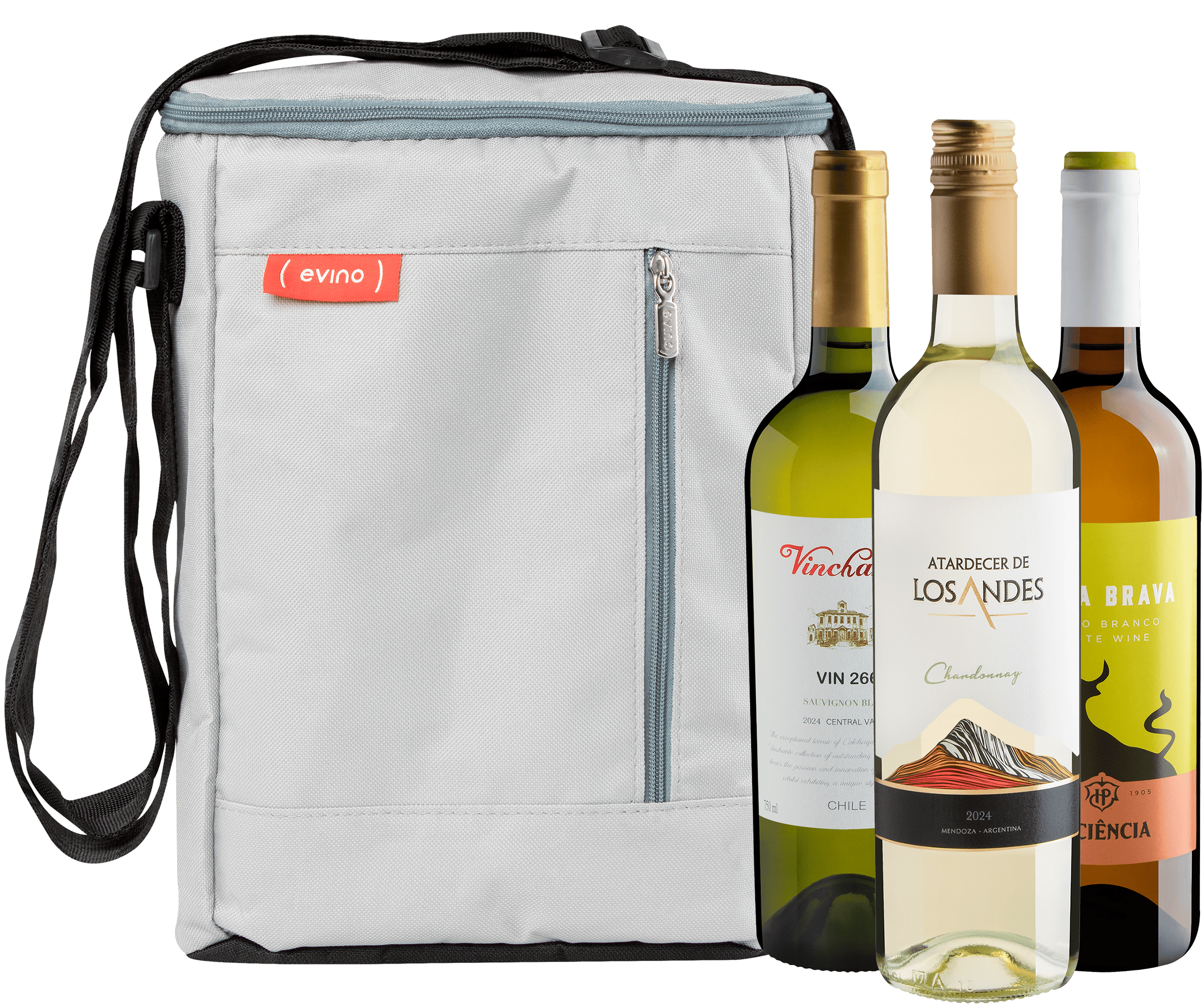 Kit 3 Vinhos Brancos + Bolsa Térmica