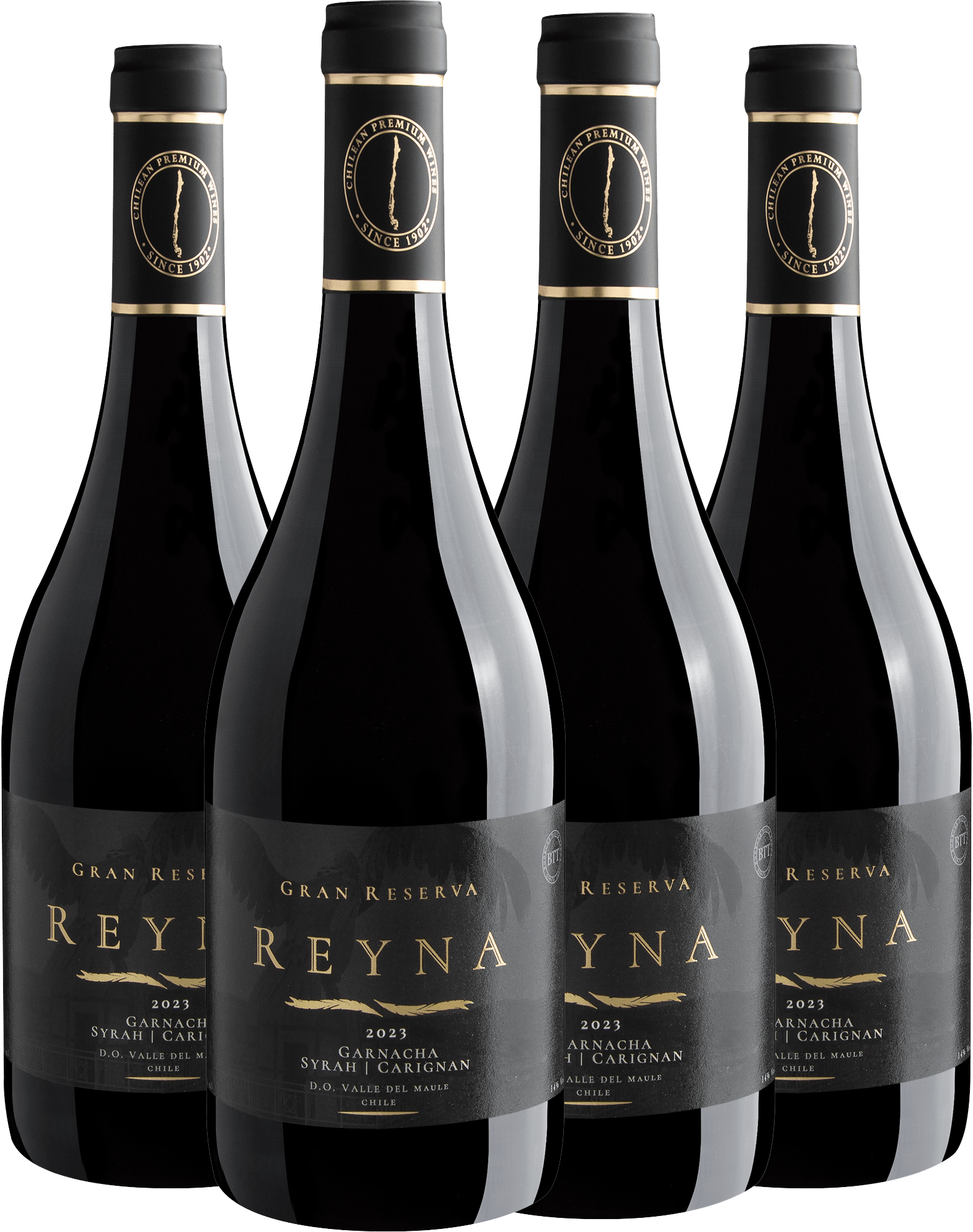 Kit 4 Reyna Gran Reserva Garnacha - Syrah - Carignan Valle del Maule D.O. por R$79,90 cada garrafa
