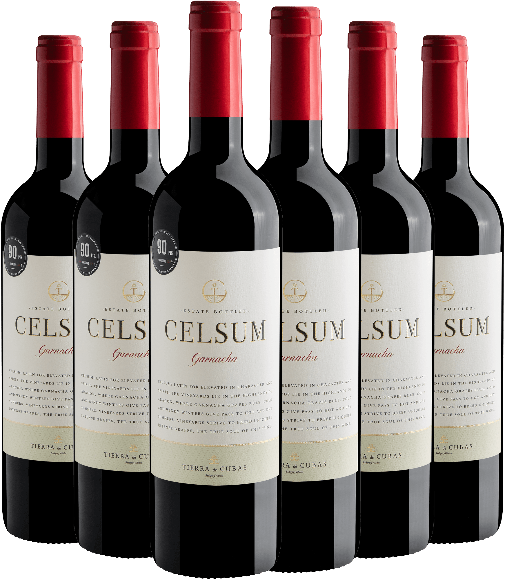 Kit 6 Celsum Garnacha Cariñena DOP por R$69,90 cada garrafa
