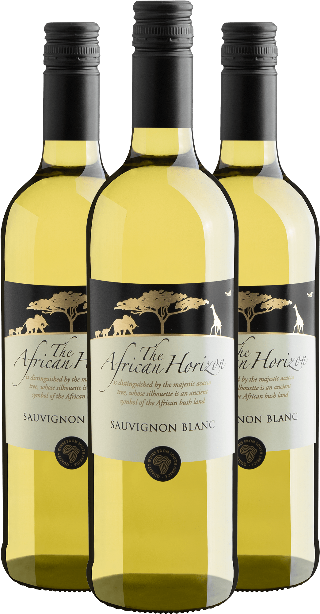 Kit 3 The African Horizon Sauvignon Blanc Western Cape W.O.