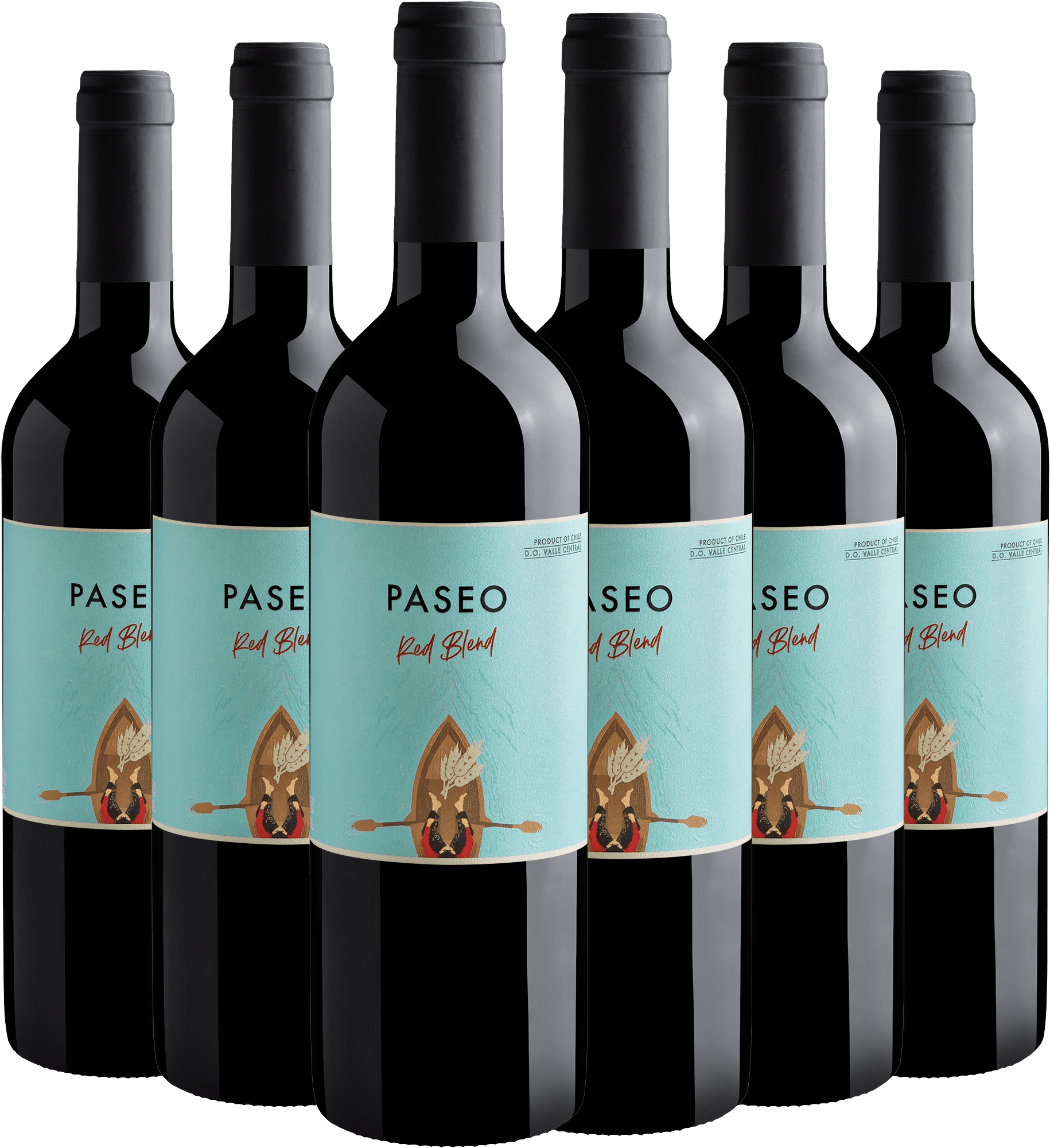 Kit 6 Paseo Red Blend Valle Central D.O. por R$24,90 cada garrafa*